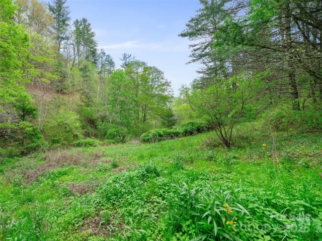 0 Fire Scald Road, Green Mountain, NC, 28740