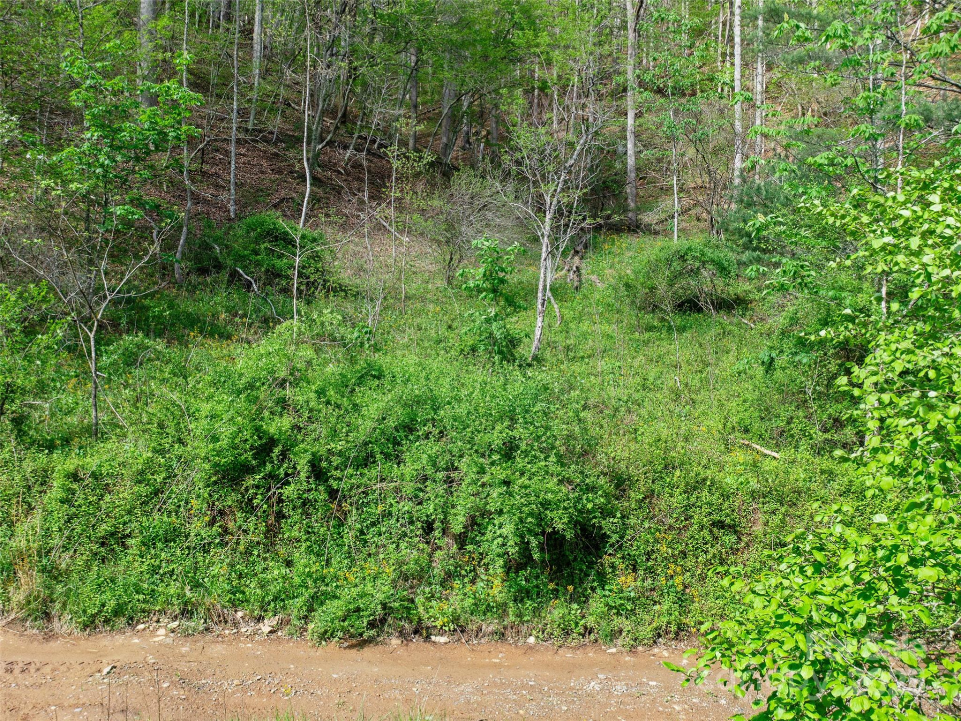 0 Fire Scald Road - Photo 11