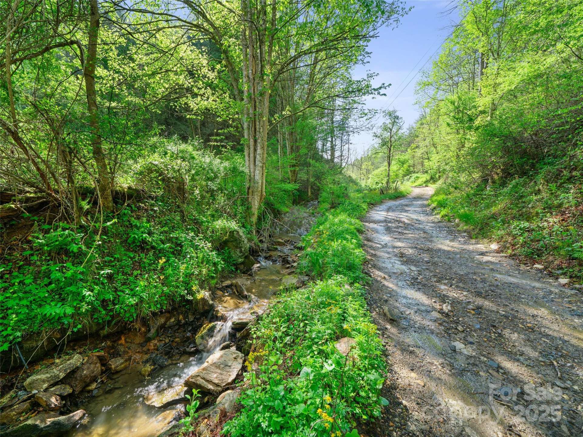 0 Fire Scald Road - Photo 12