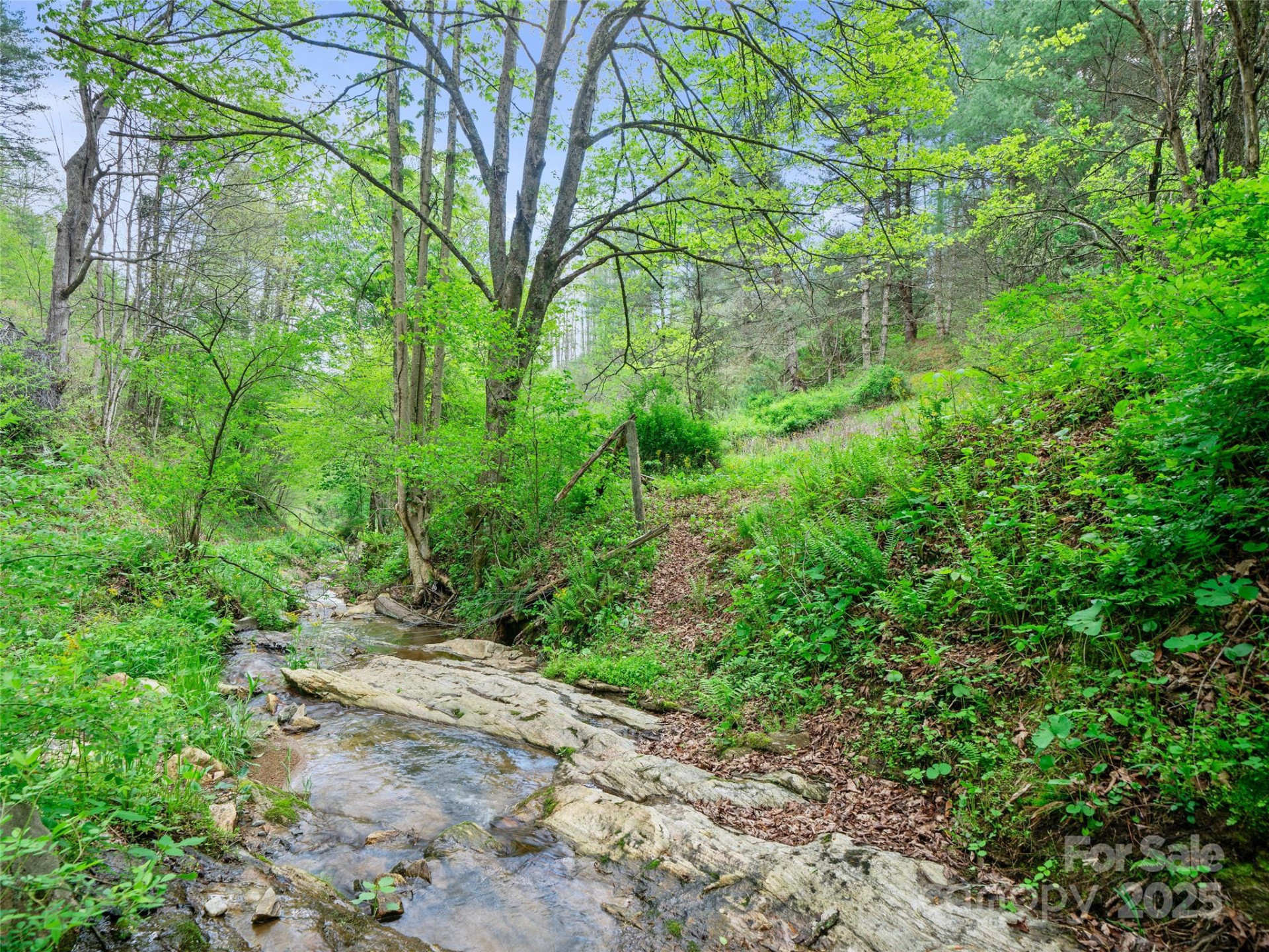 0 Fire Scald Road - Photo 14