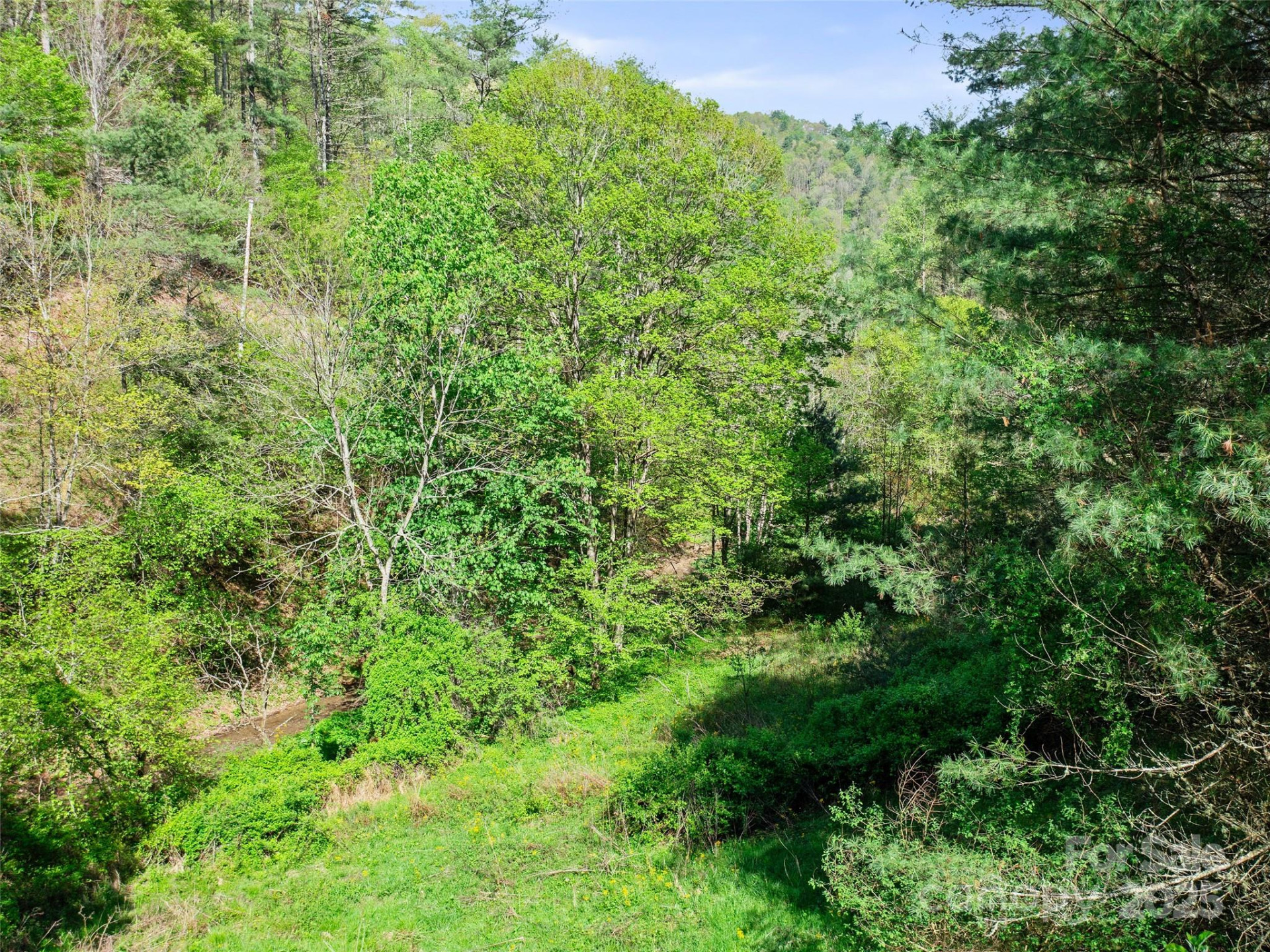 0 Fire Scald Road - Photo 16