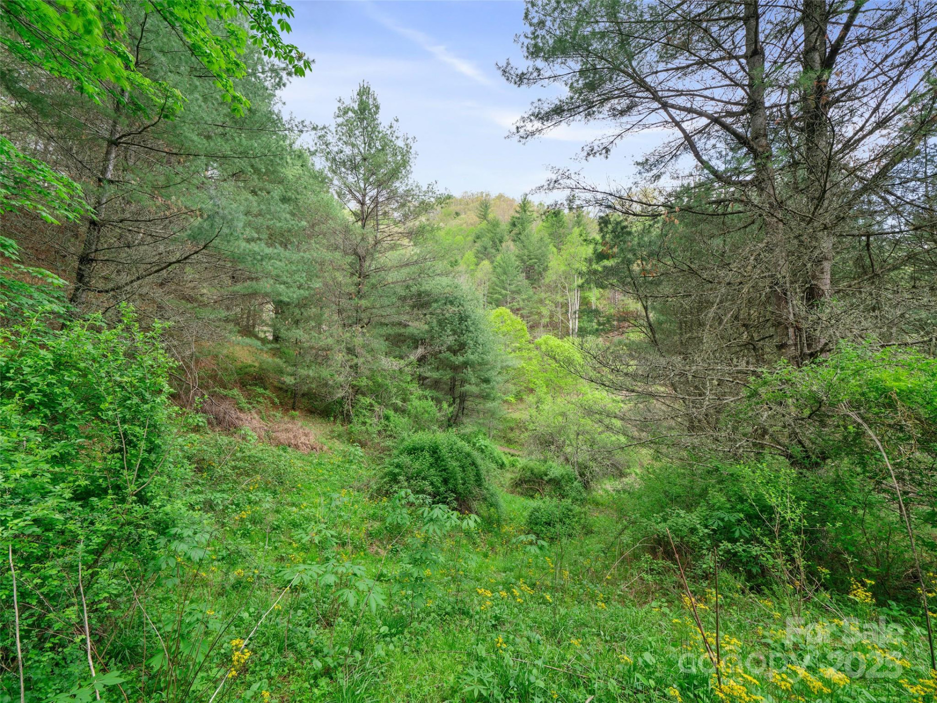 0 Fire Scald Road - Photo 17