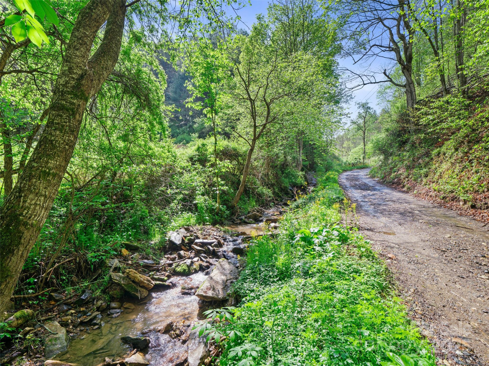 0 Fire Scald Road - Photo 3