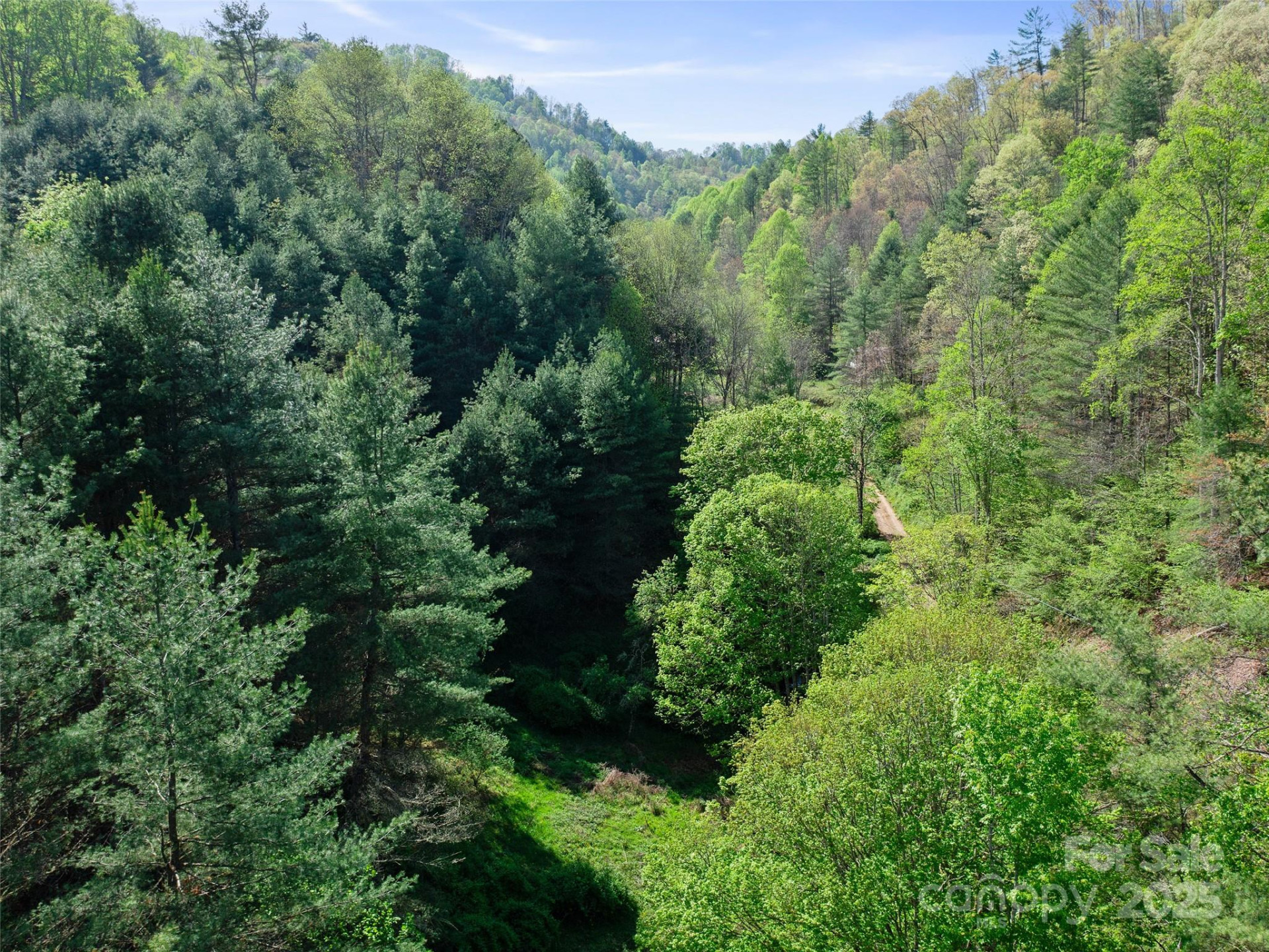 0 Fire Scald Road - Photo 21