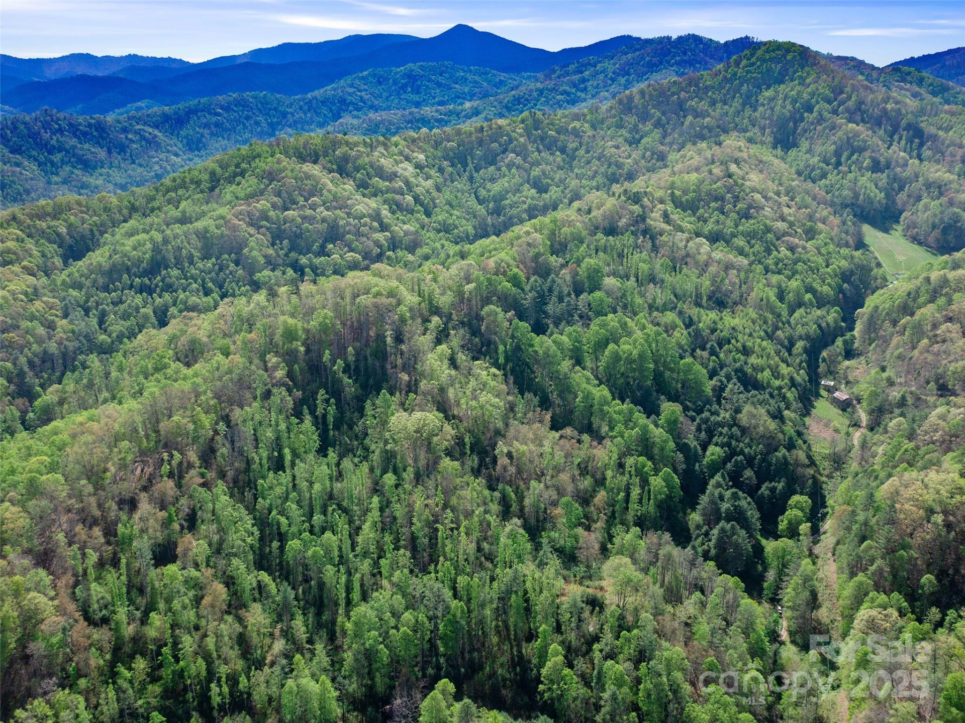 0 Fire Scald Road - Photo 22