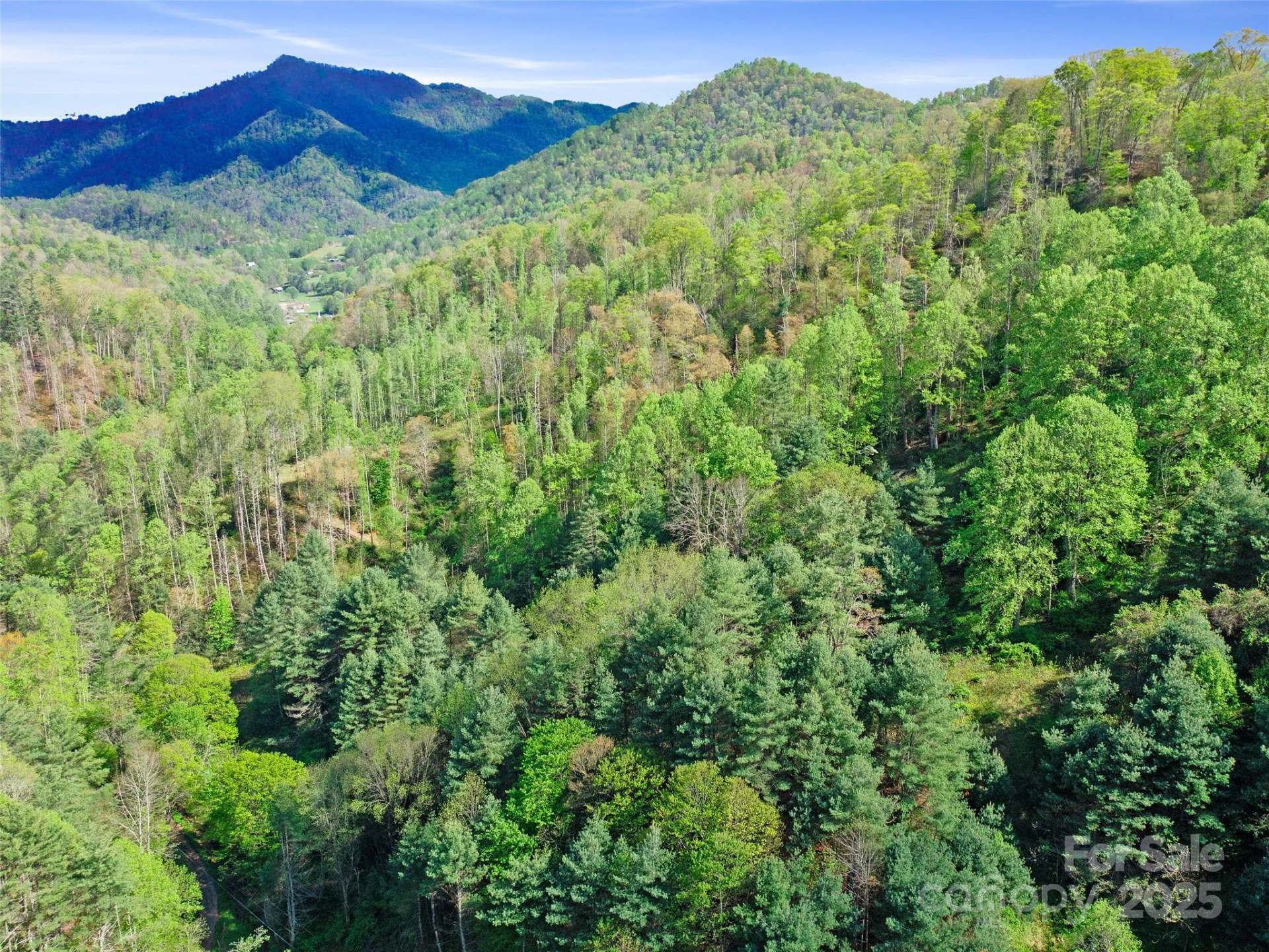 0 Fire Scald Road - Photo 28