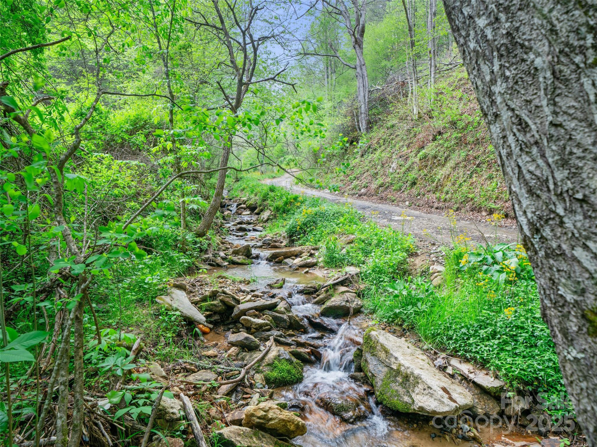 0 Fire Scald Road - Photo 4