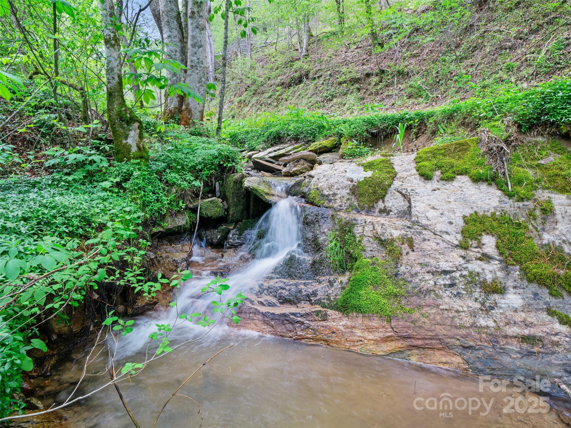 0 Fire Scald Road - Photo 5