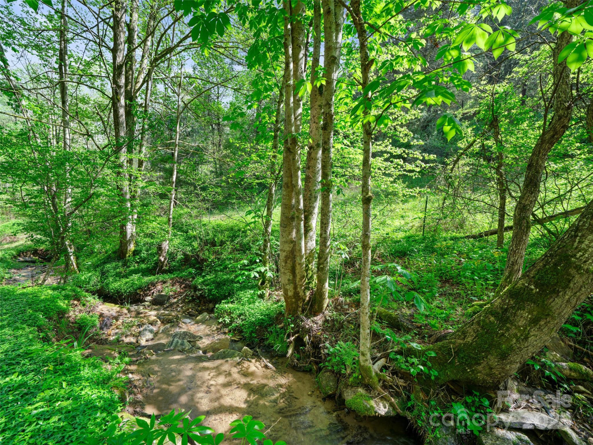 0 Fire Scald Road - Photo 8