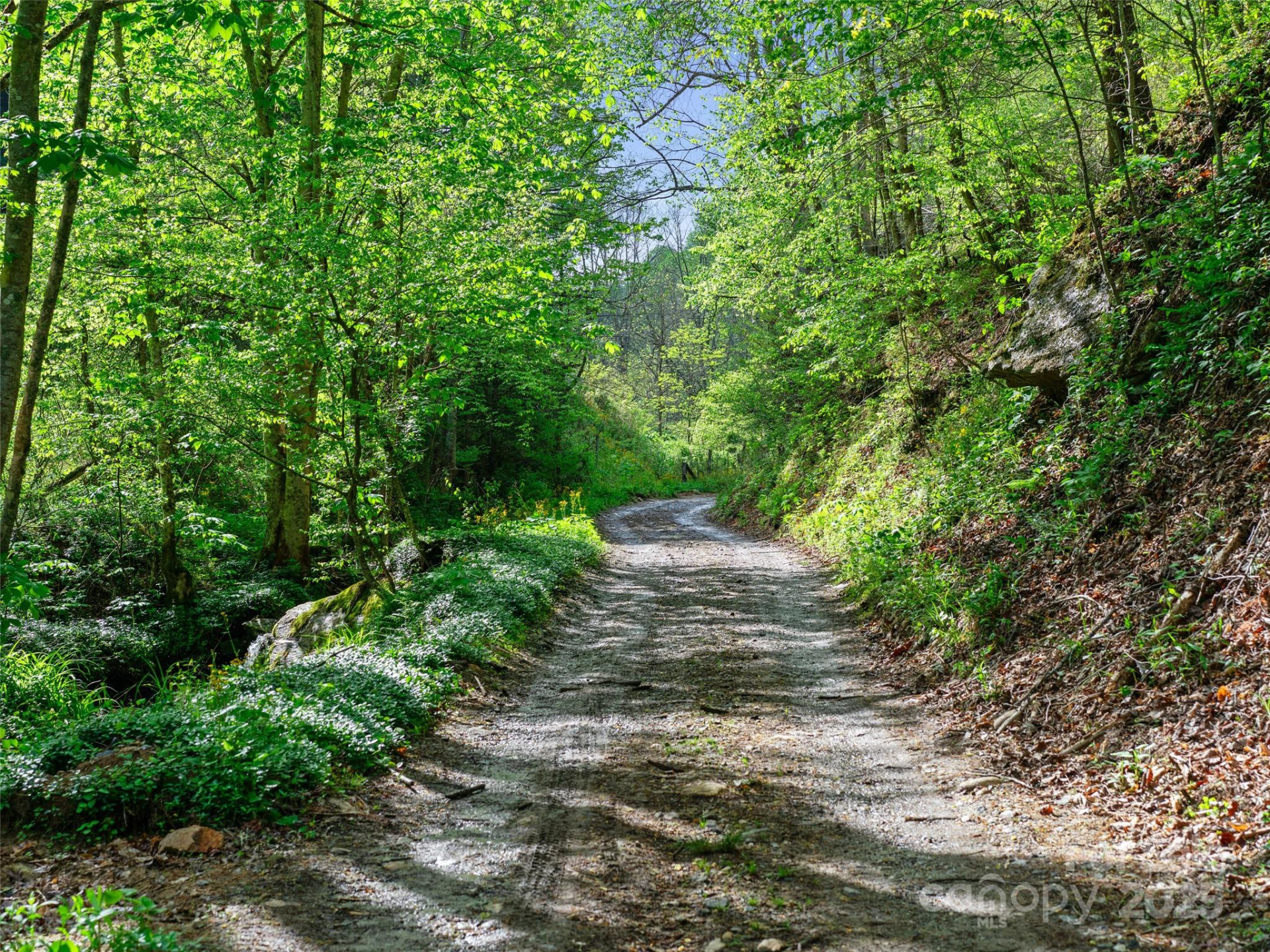 0 Fire Scald Road - Photo 9