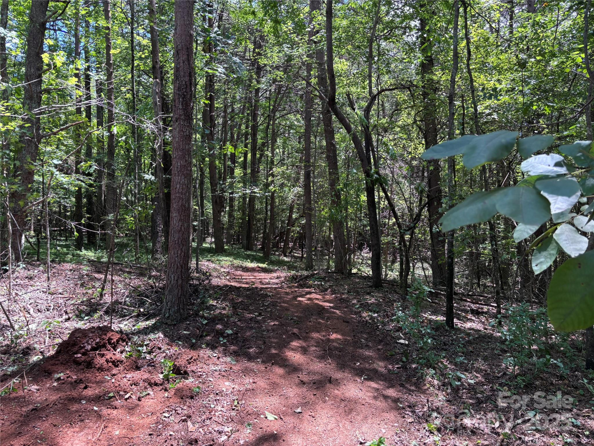 00 Old Ballpark Road - Photo 11