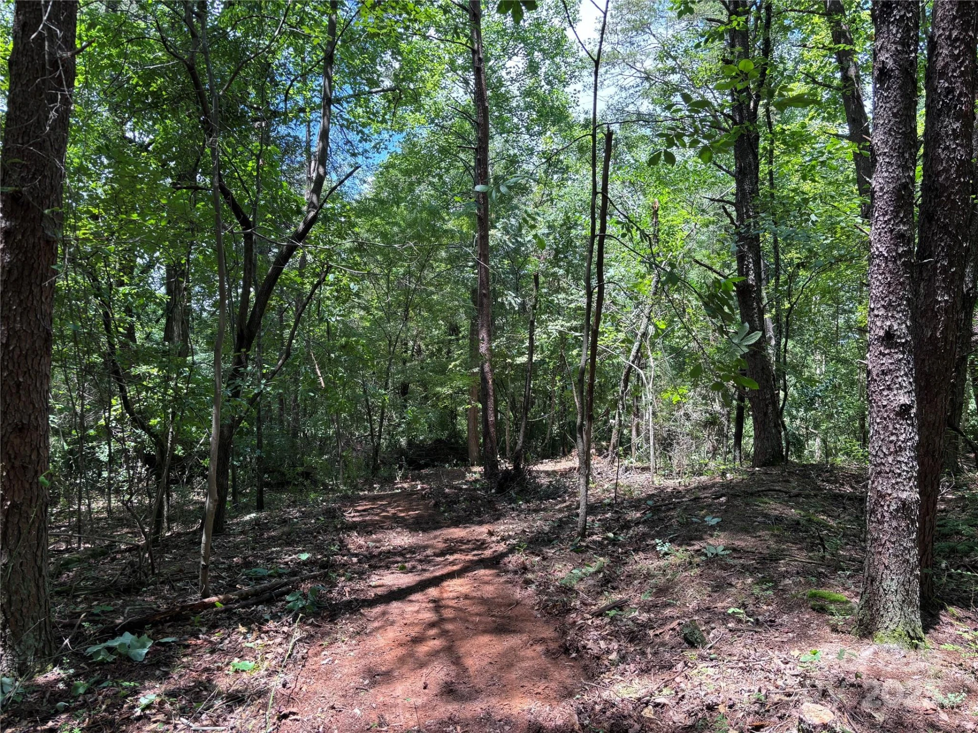 00 Old Ballpark Road - Photo 3