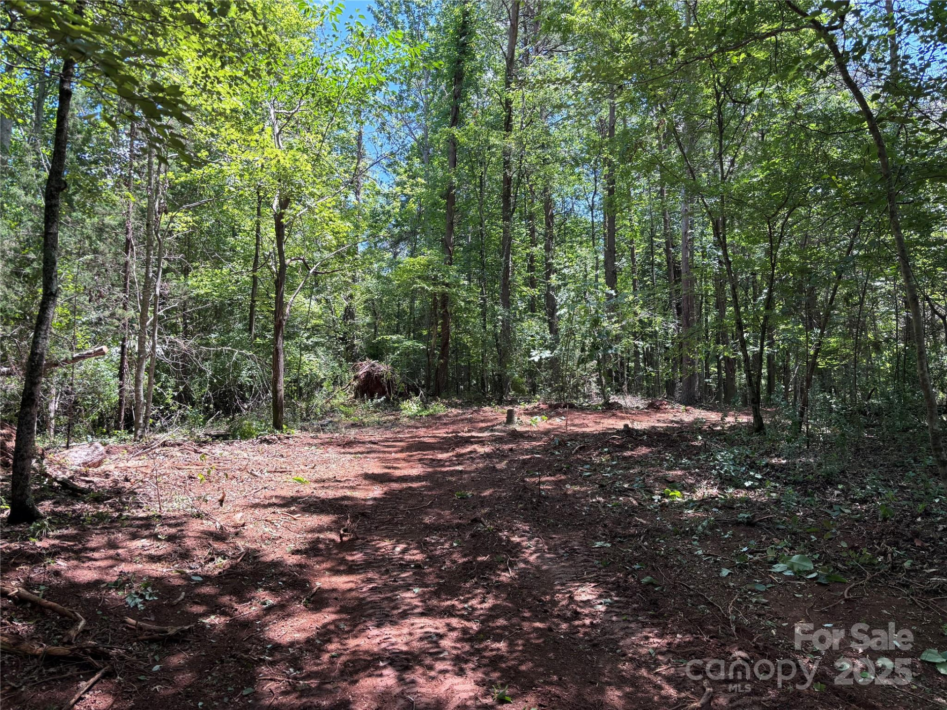 00 Old Ballpark Road - Photo 4