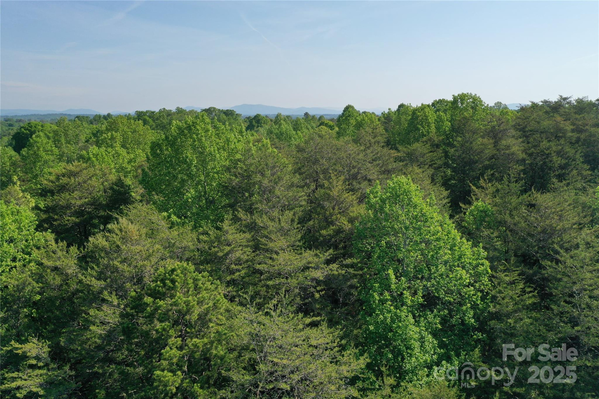 00 Old Ballpark Road - Photo 5