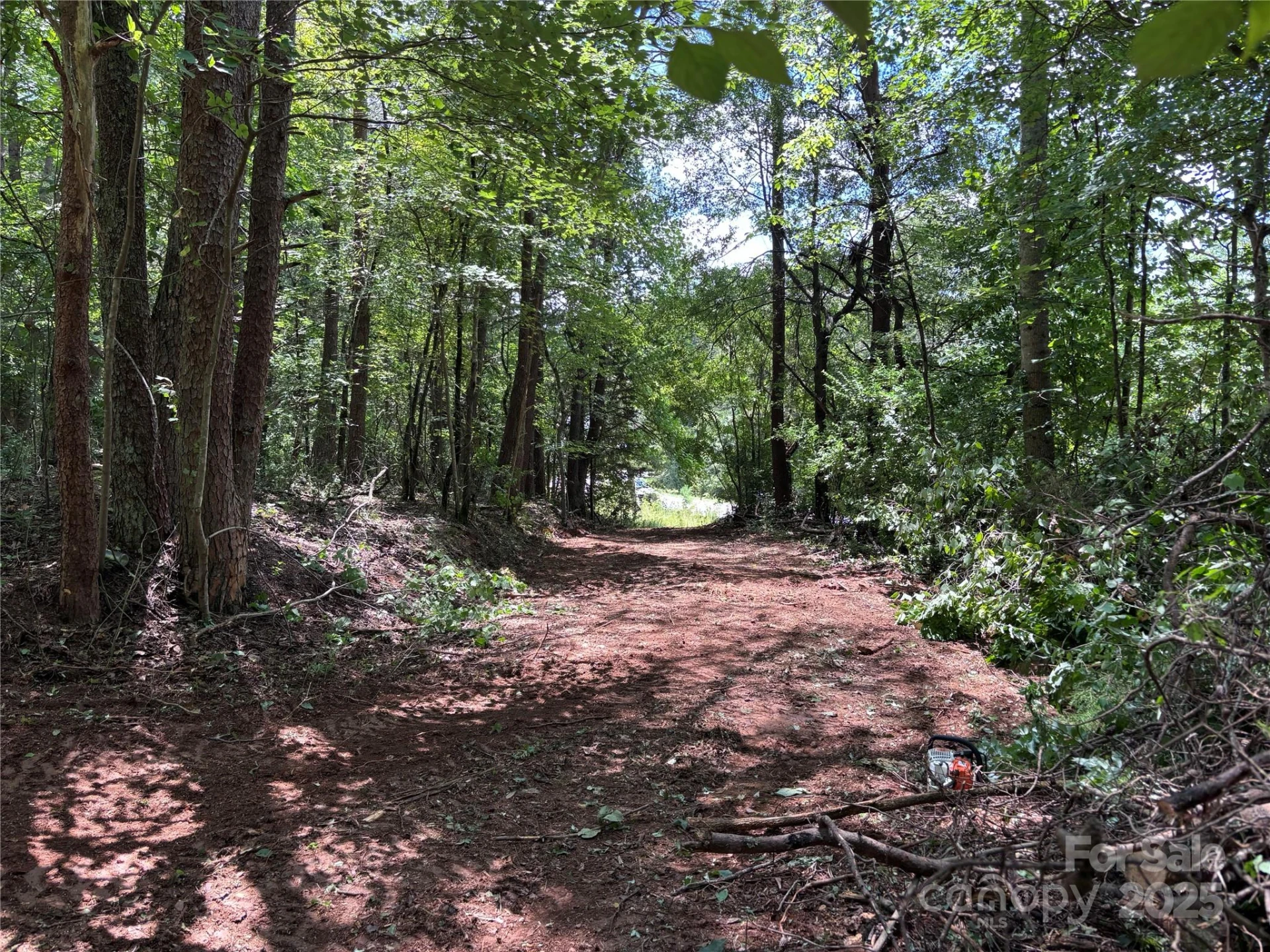 00 Old Ballpark Road - Photo 9