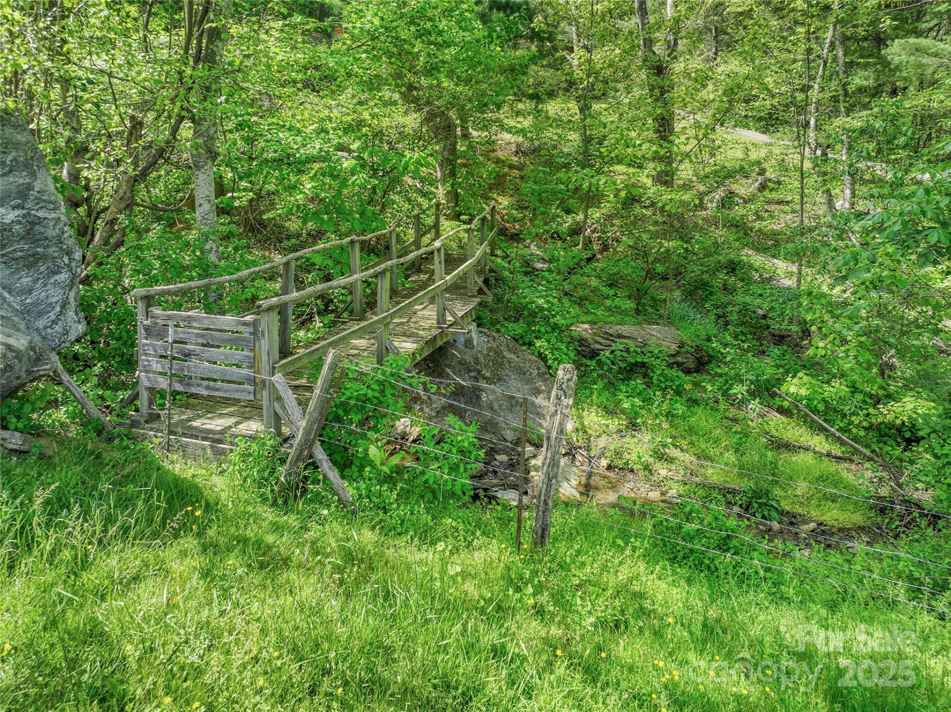 315 Morgan Branch Road - Photo 3