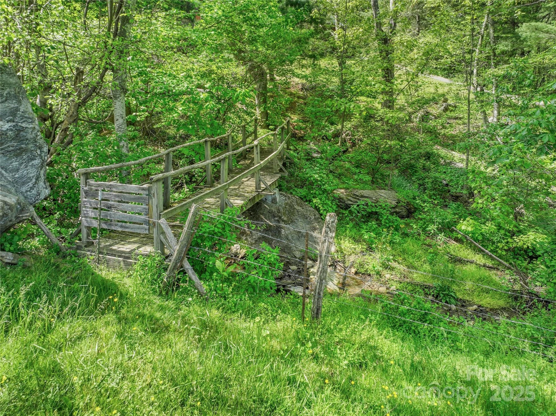 315 Morgan Branch Road - Photo 3