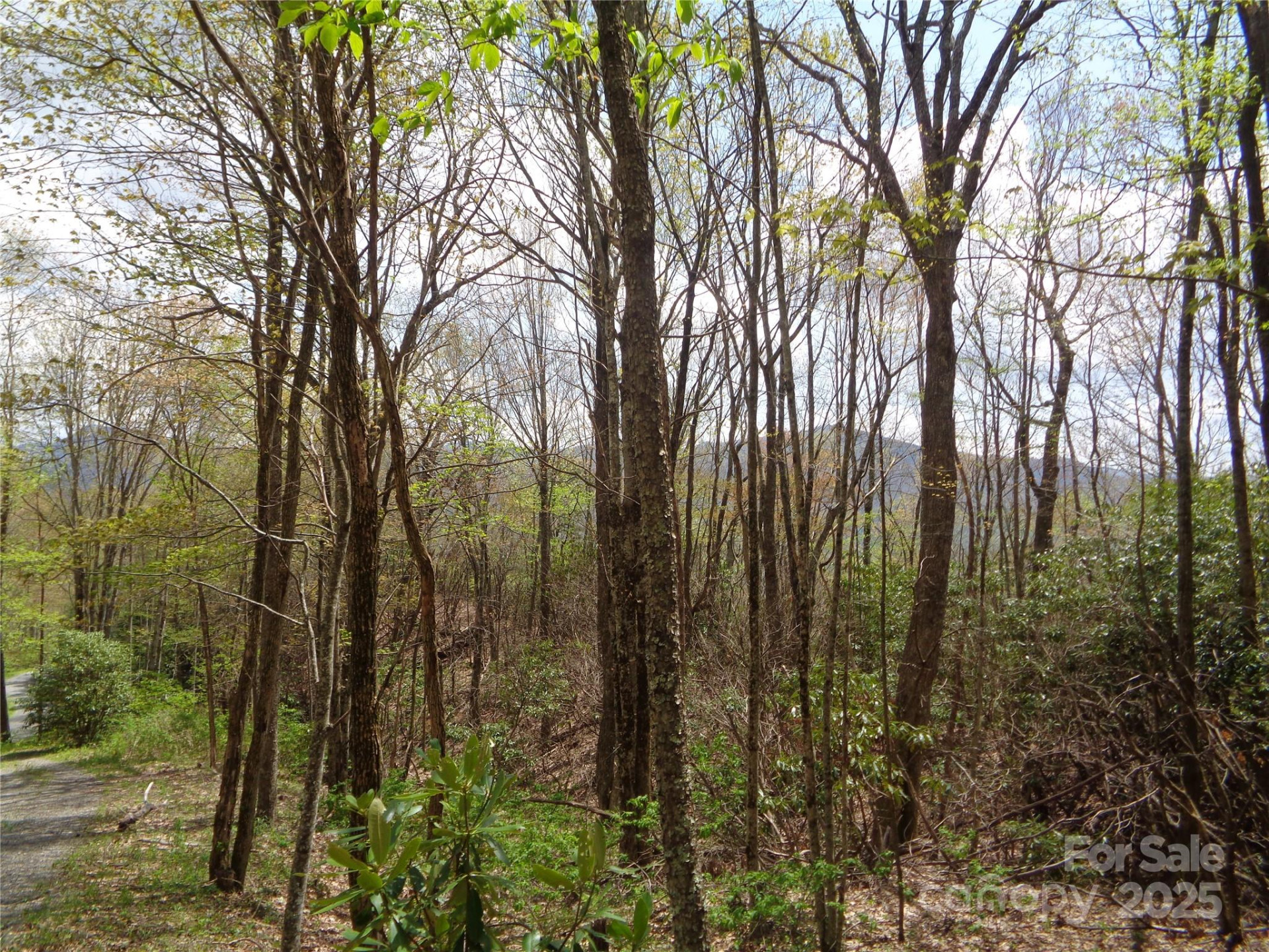 00 Bent Tree Road - Photo 2