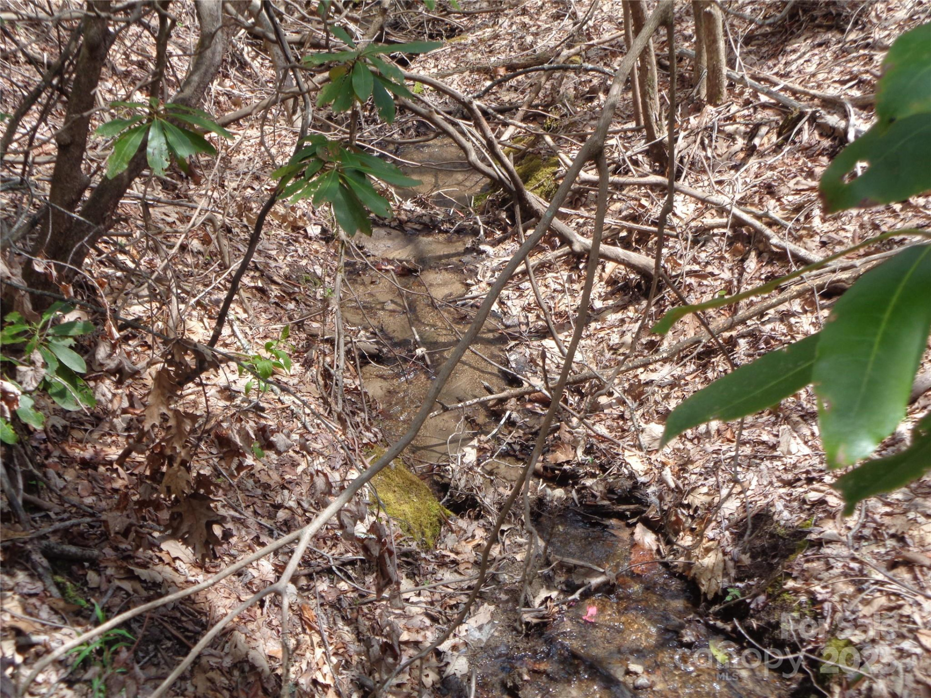 00 Bent Tree Road - Photo 11