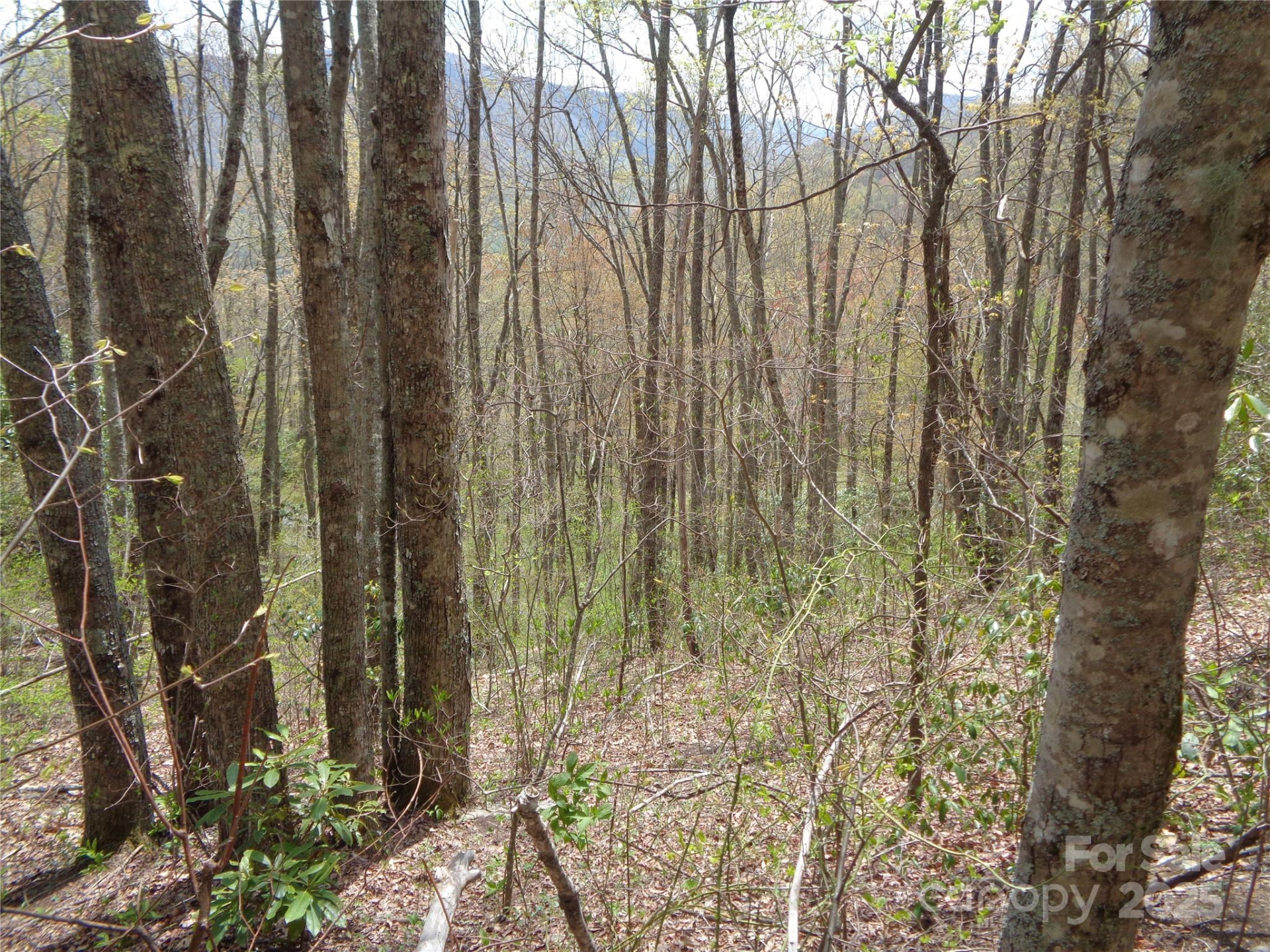 00 Bent Tree Road - Photo 12