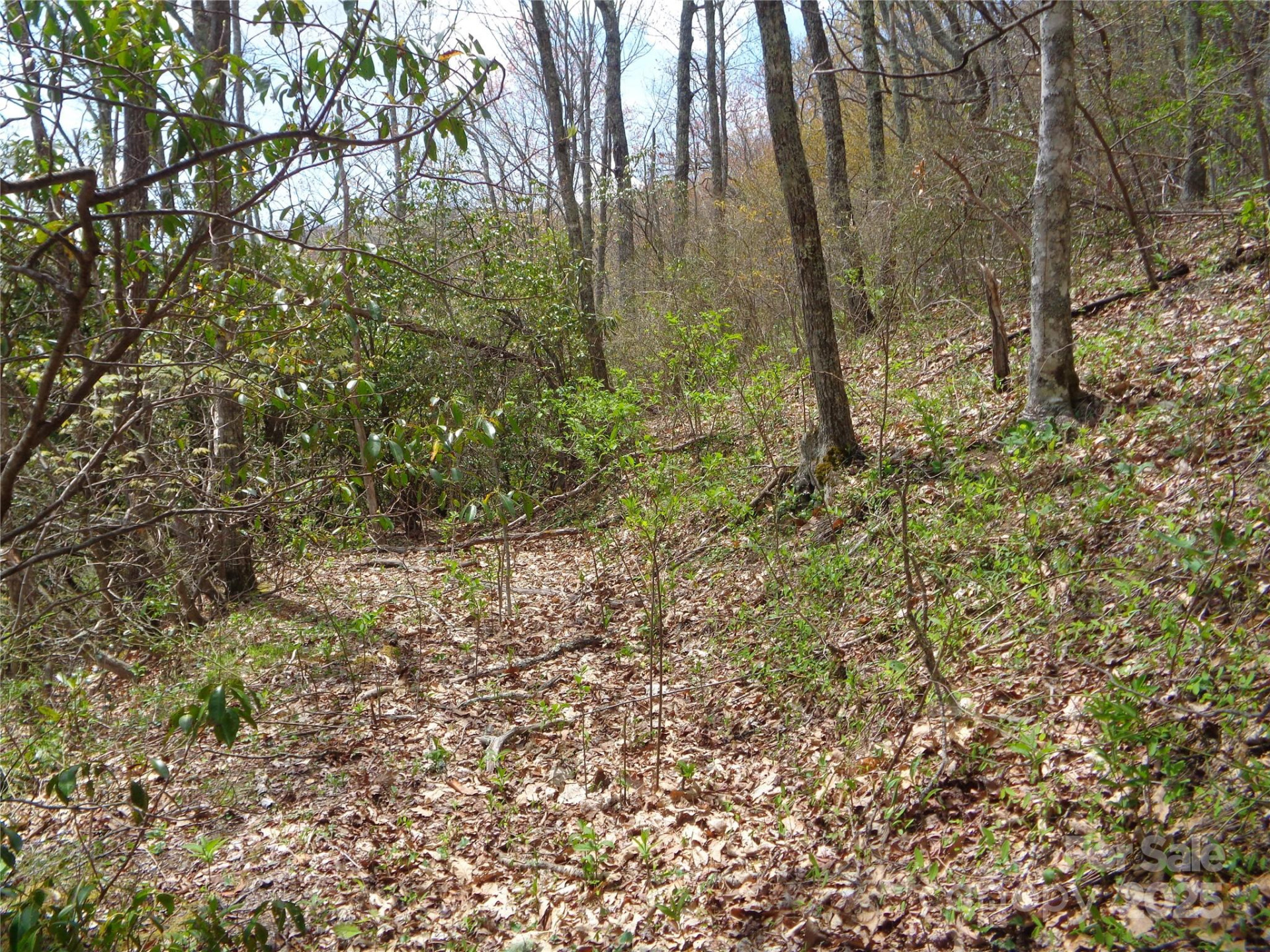 00 Bent Tree Road - Photo 13