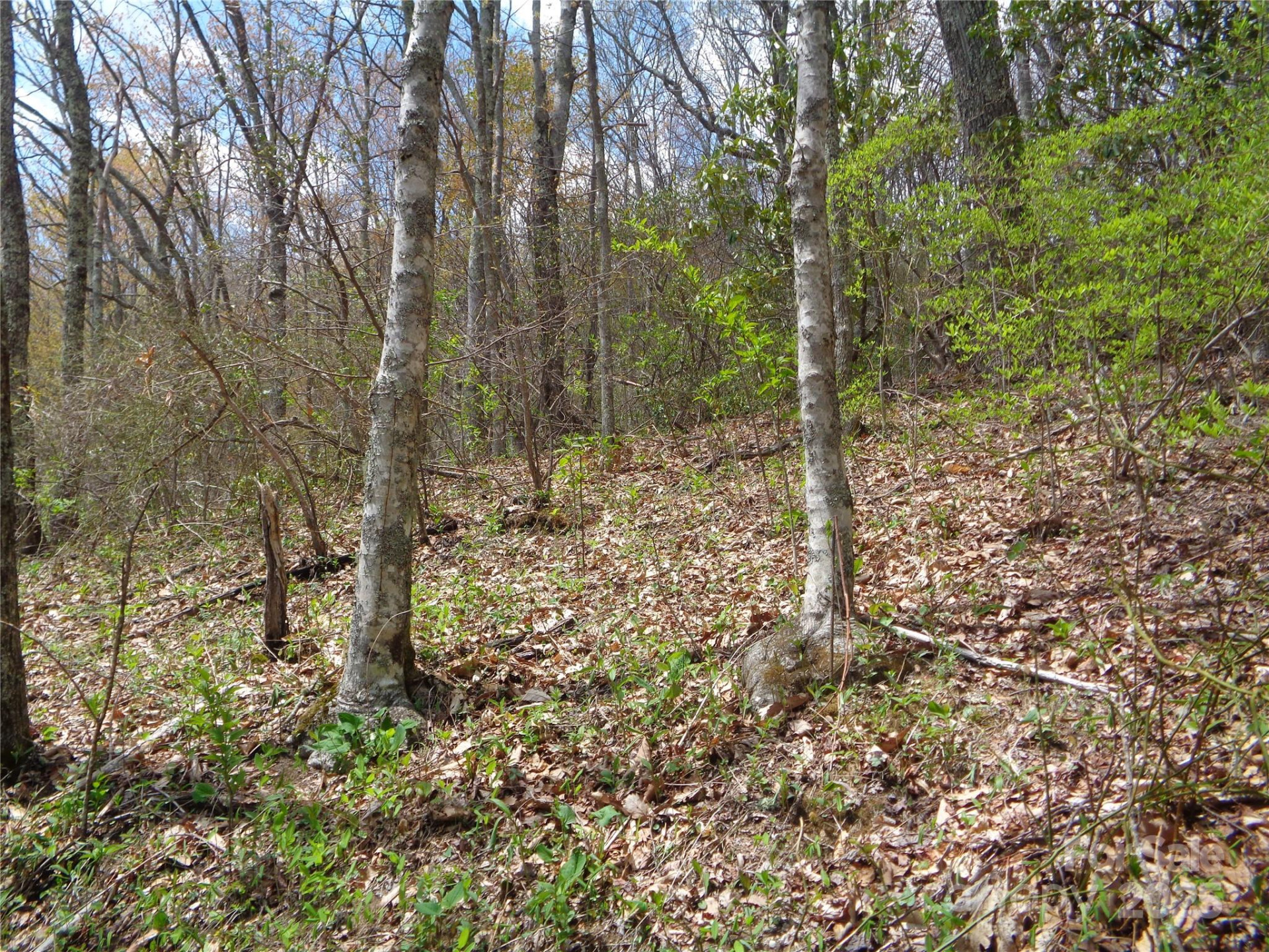 00 Bent Tree Road - Photo 14