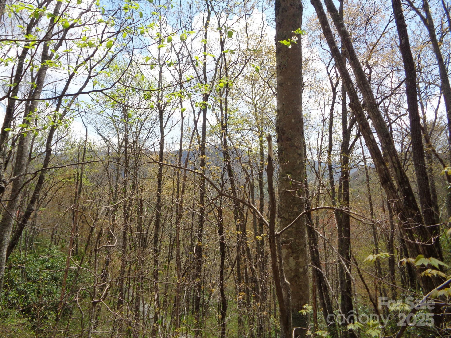 00 Bent Tree Road - Photo 15