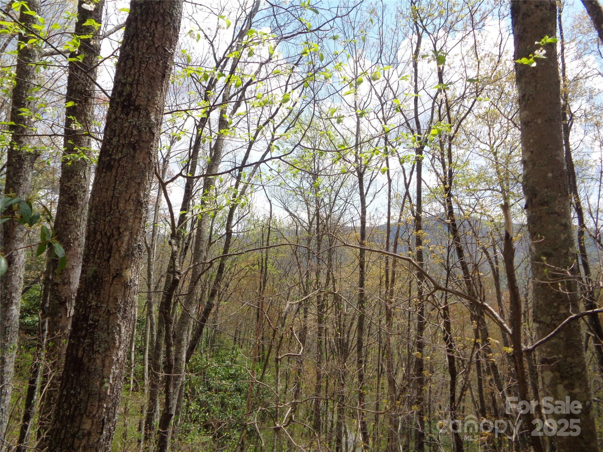 00 Bent Tree Road - Photo 16