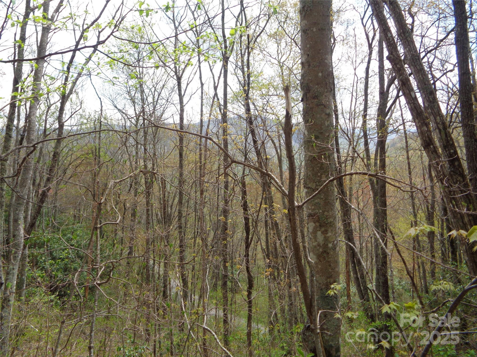 00 Bent Tree Road - Photo 18