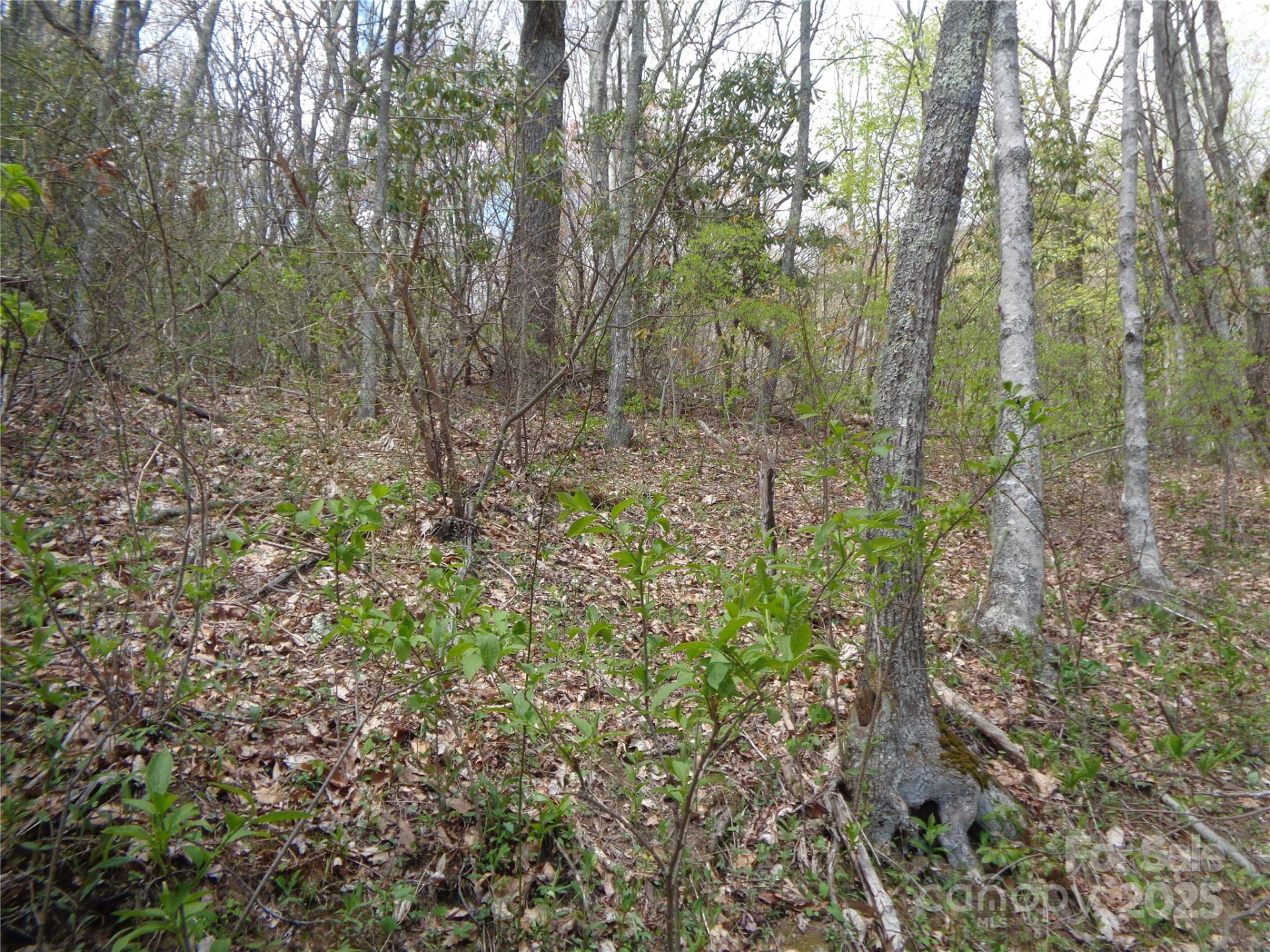 00 Bent Tree Road - Photo 20