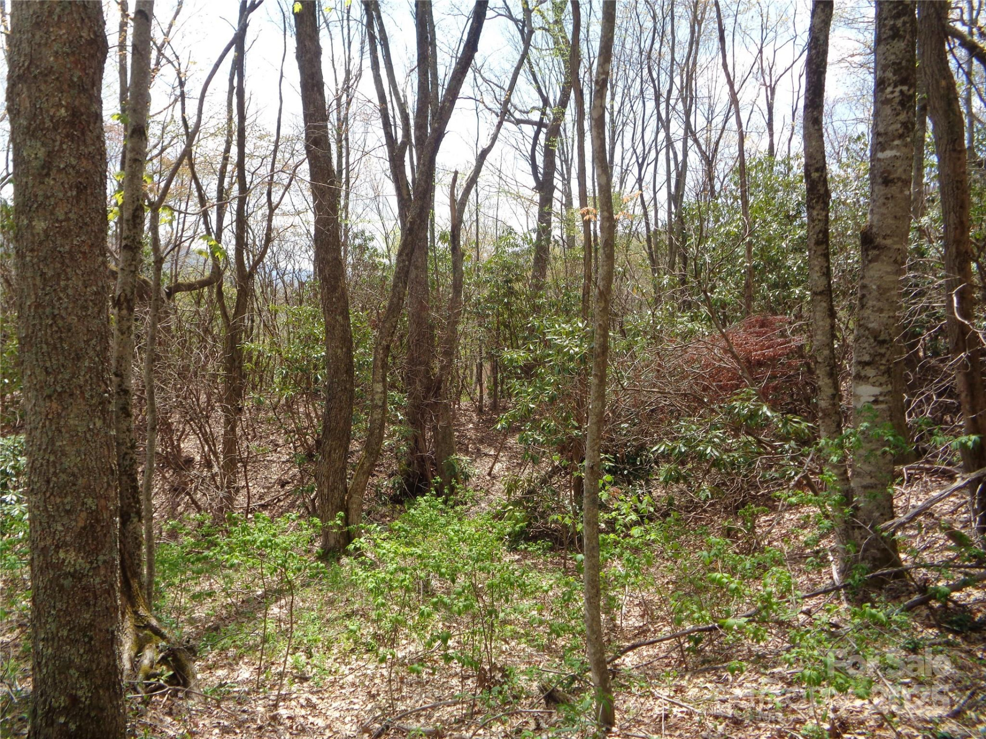 00 Bent Tree Road - Photo 3