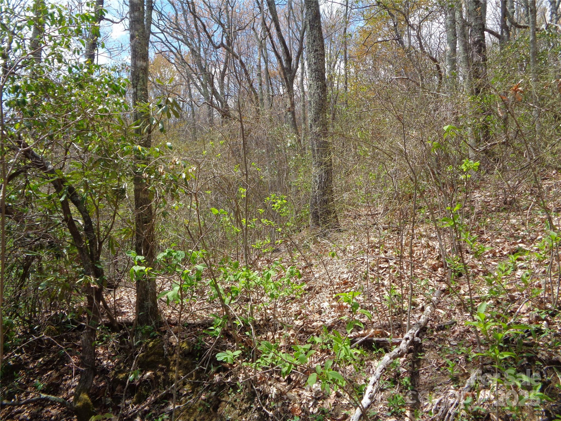 00 Bent Tree Road - Photo 21