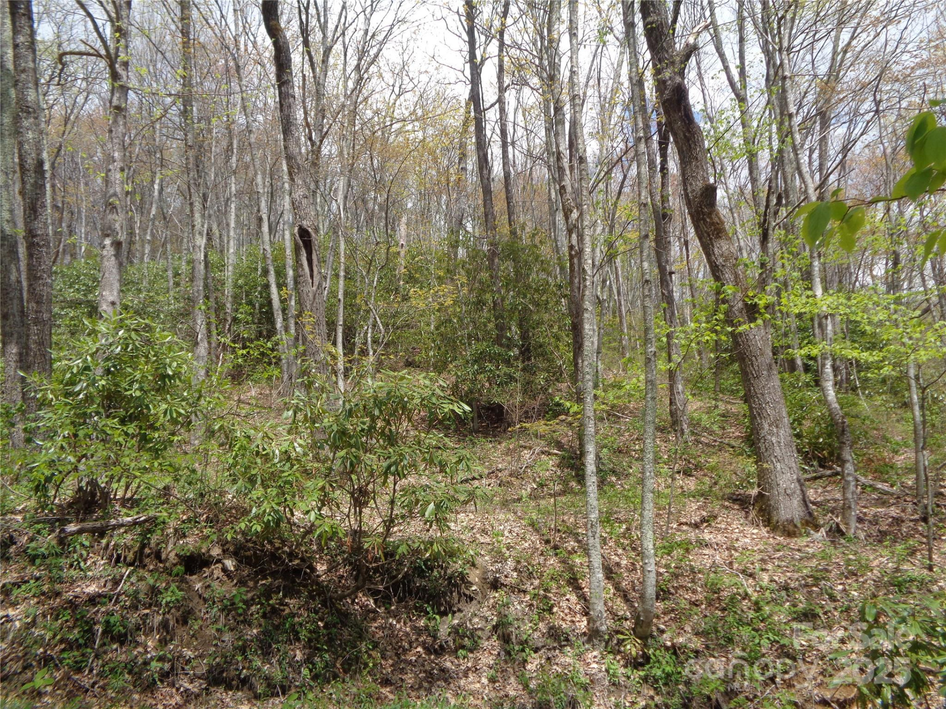 00 Bent Tree Road - Photo 25