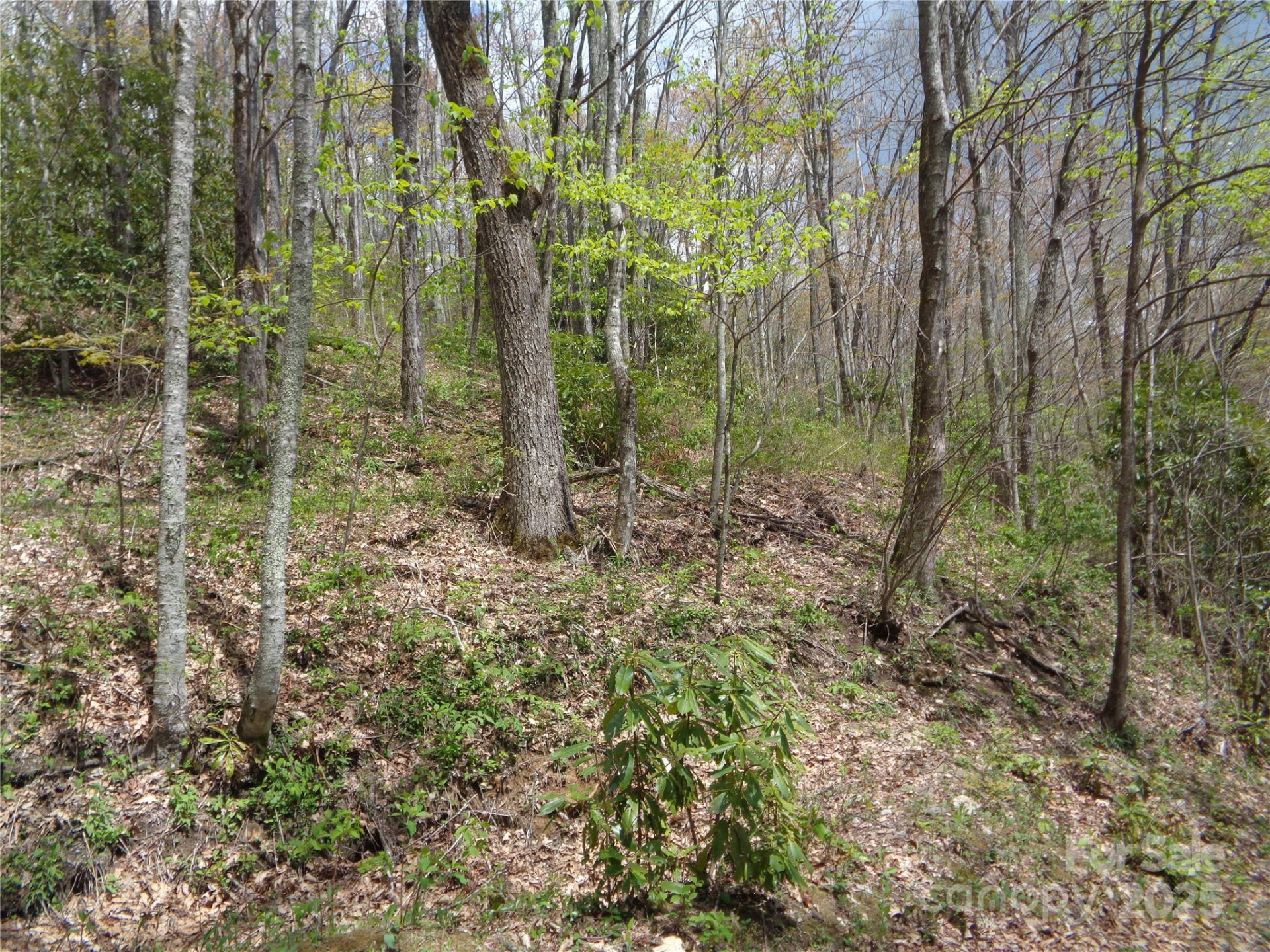 00 Bent Tree Road - Photo 26