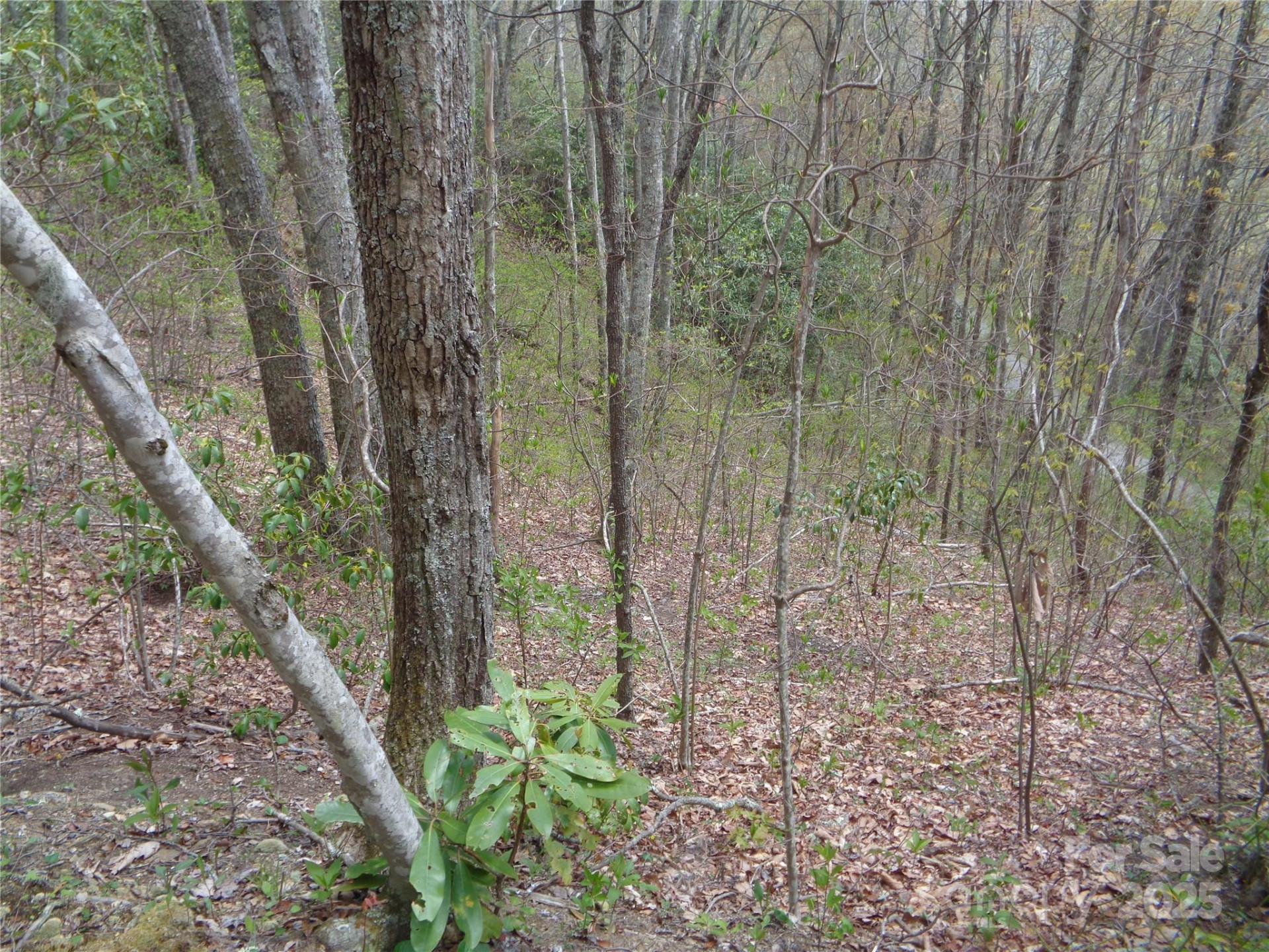 00 Bent Tree Road - Photo 28