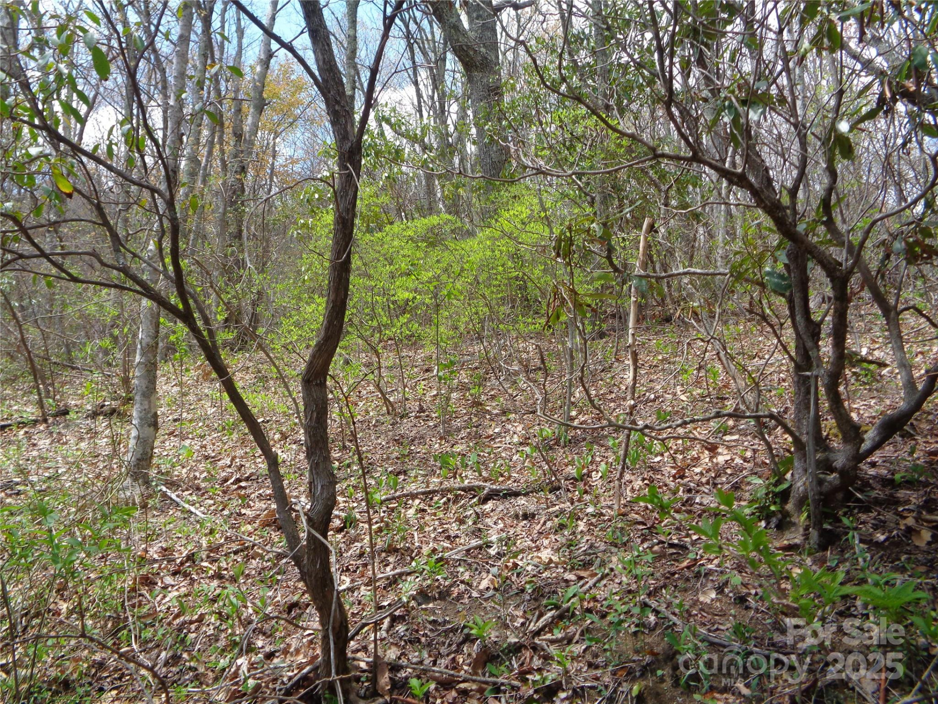 00 Bent Tree Road - Photo 29