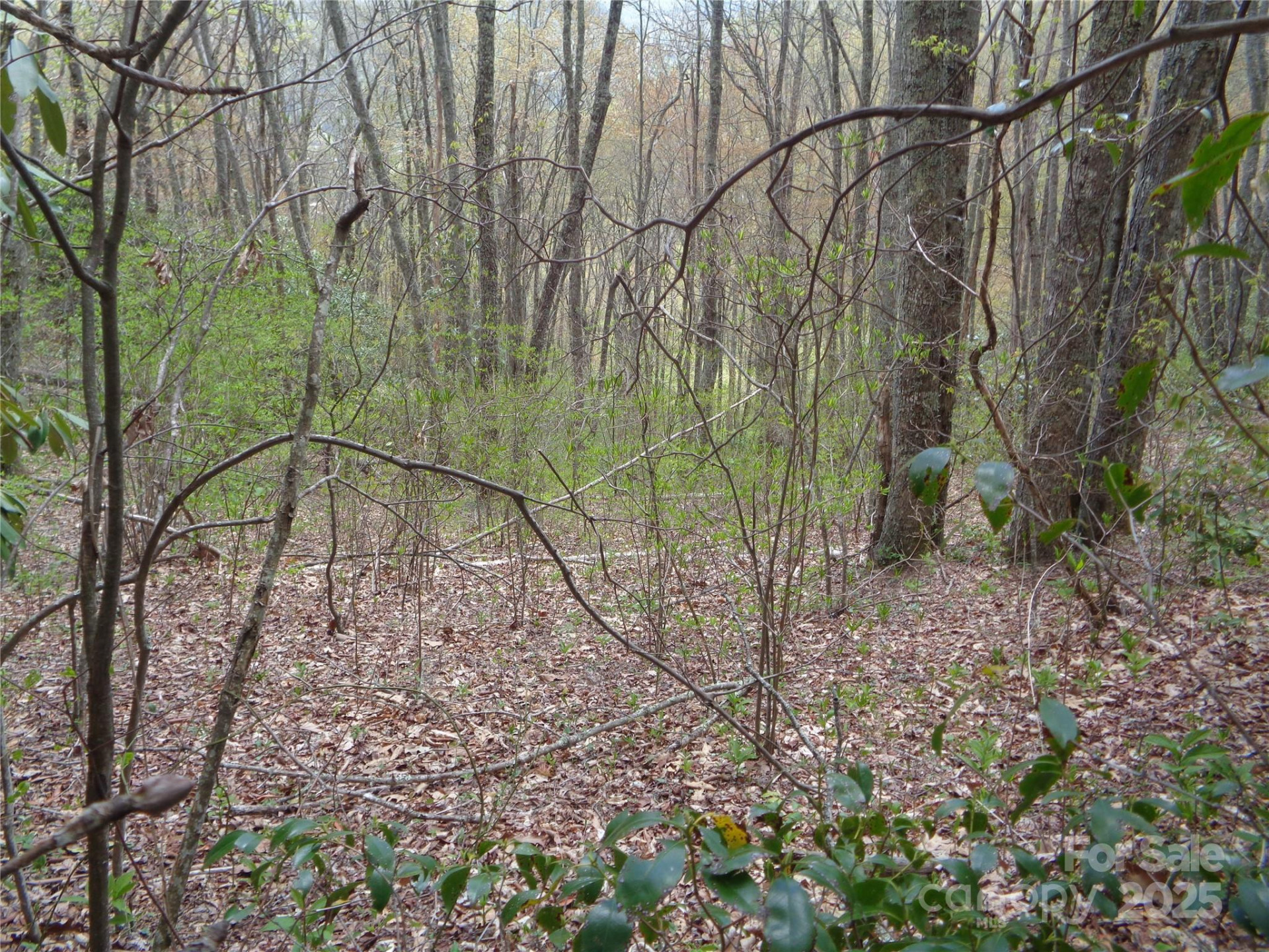 00 Bent Tree Road - Photo 30