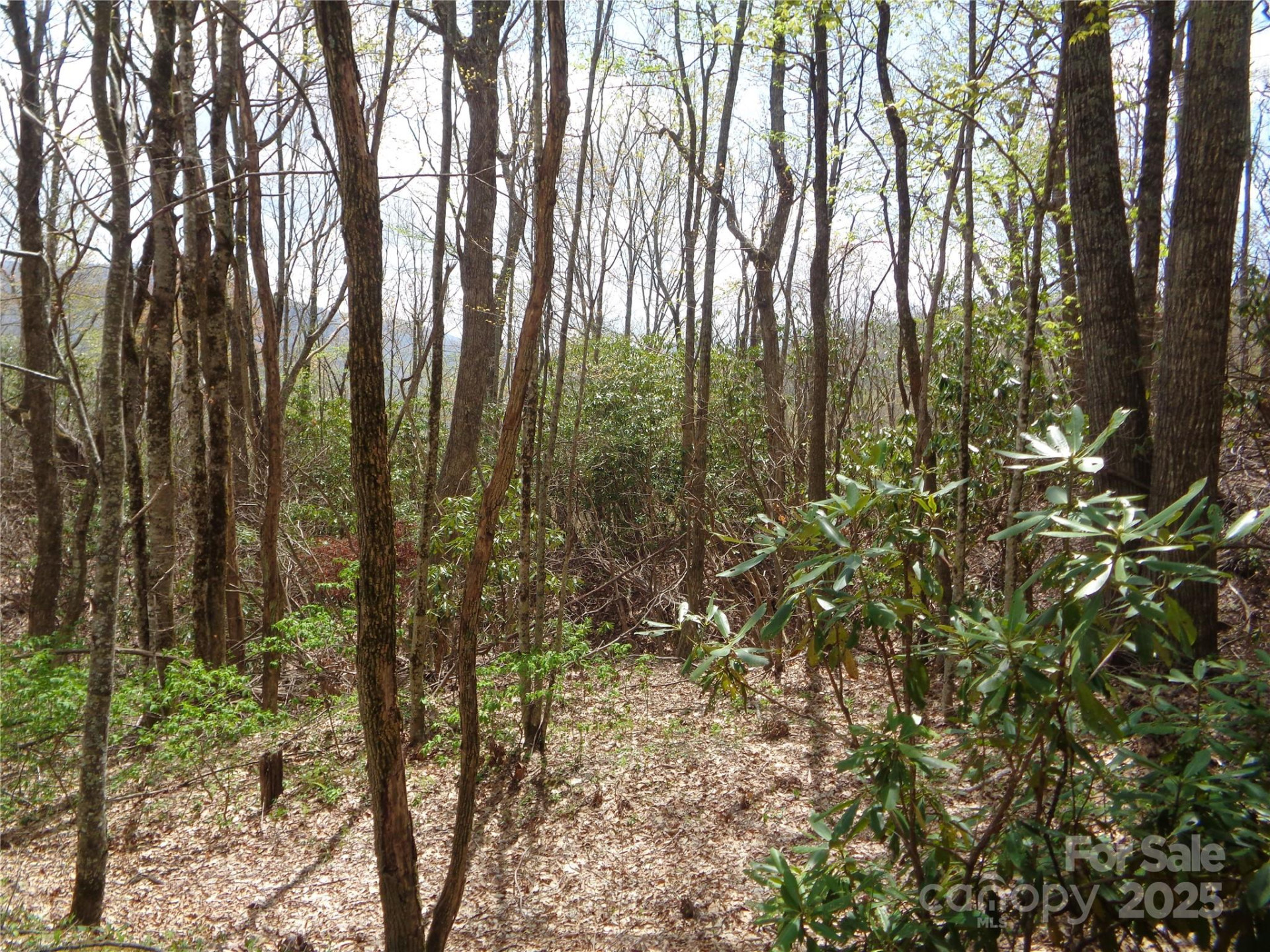 00 Bent Tree Road - Photo 4