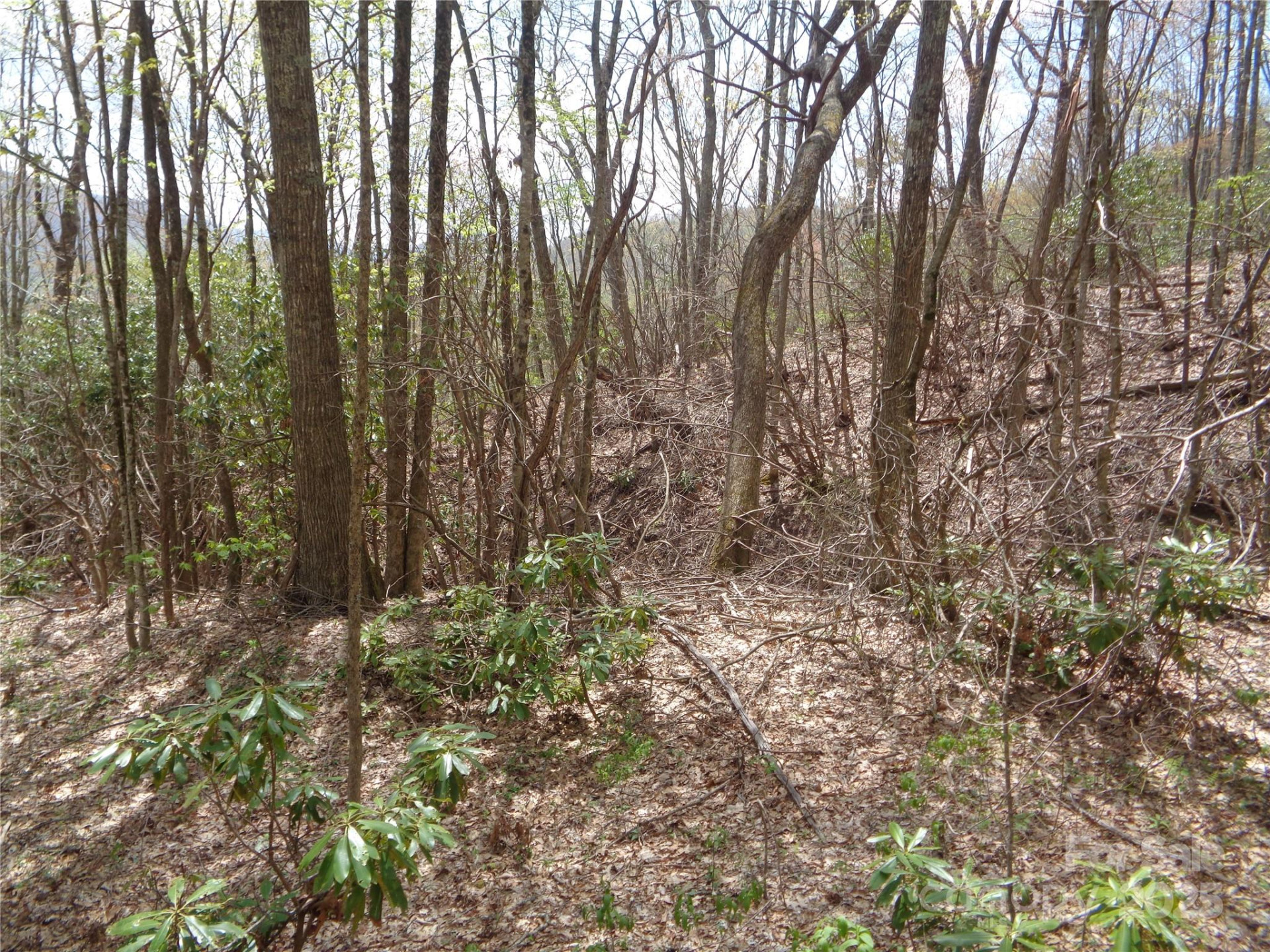 00 Bent Tree Road - Photo 7