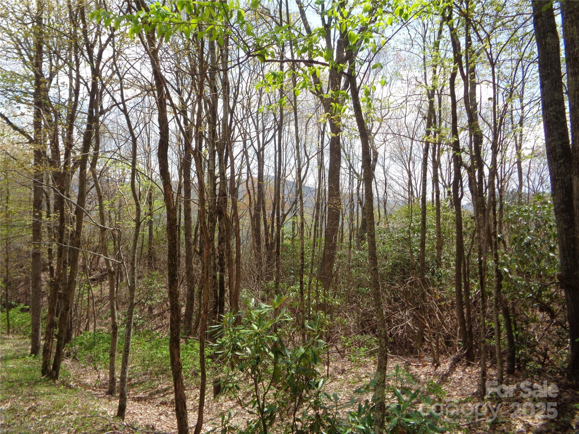 00 Bent Tree Road - Photo 8