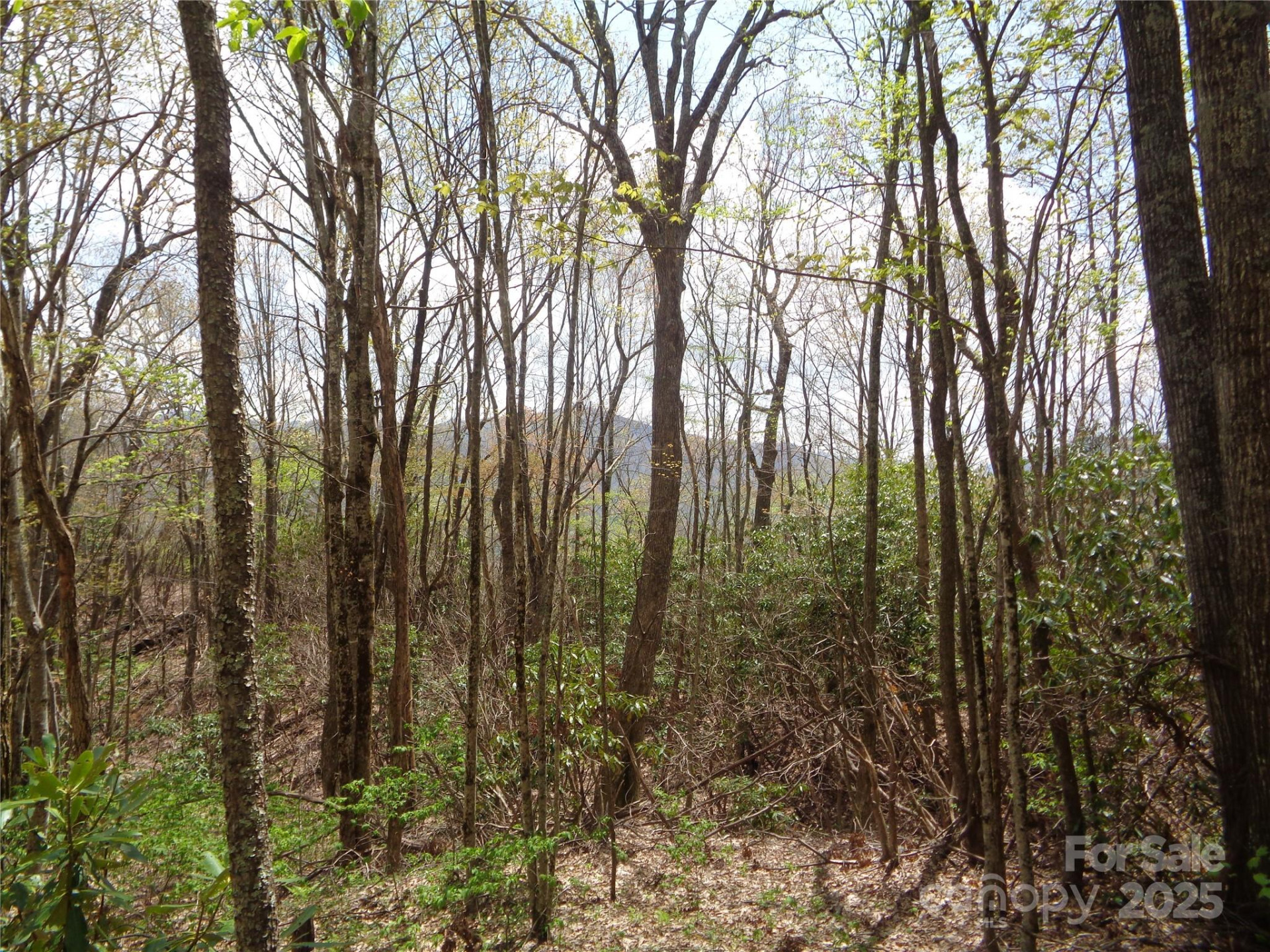 00 Bent Tree Road - Photo 9