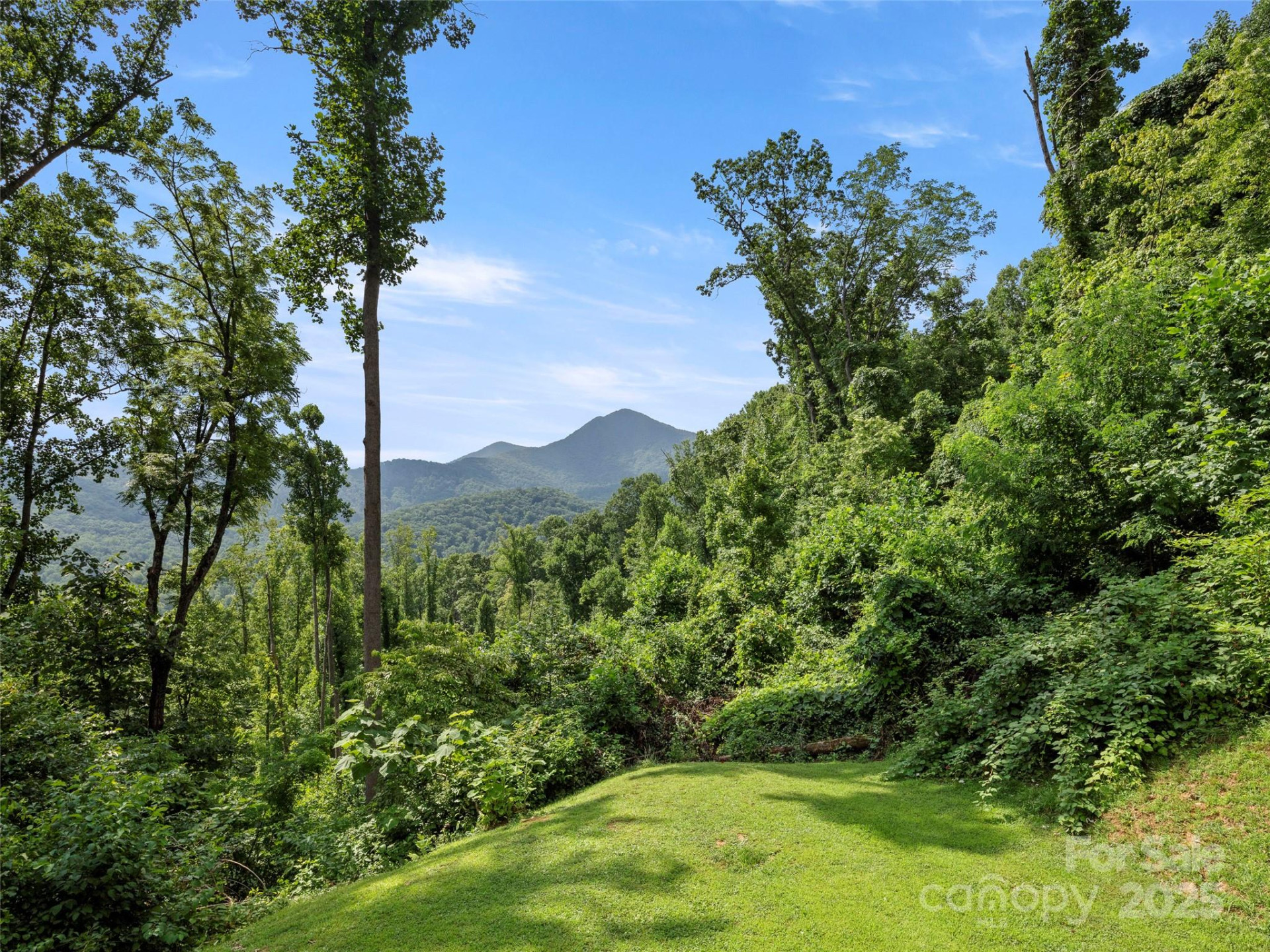 44 Sutton Knob Road - Photo 3