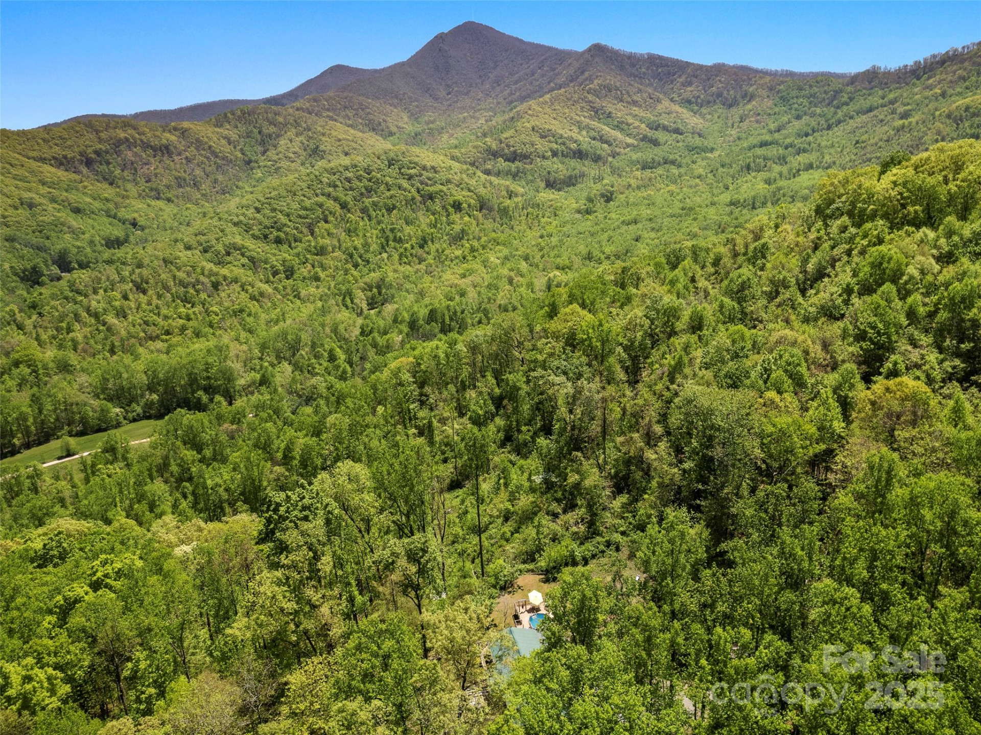 44 Sutton Knob Road - Photo 36