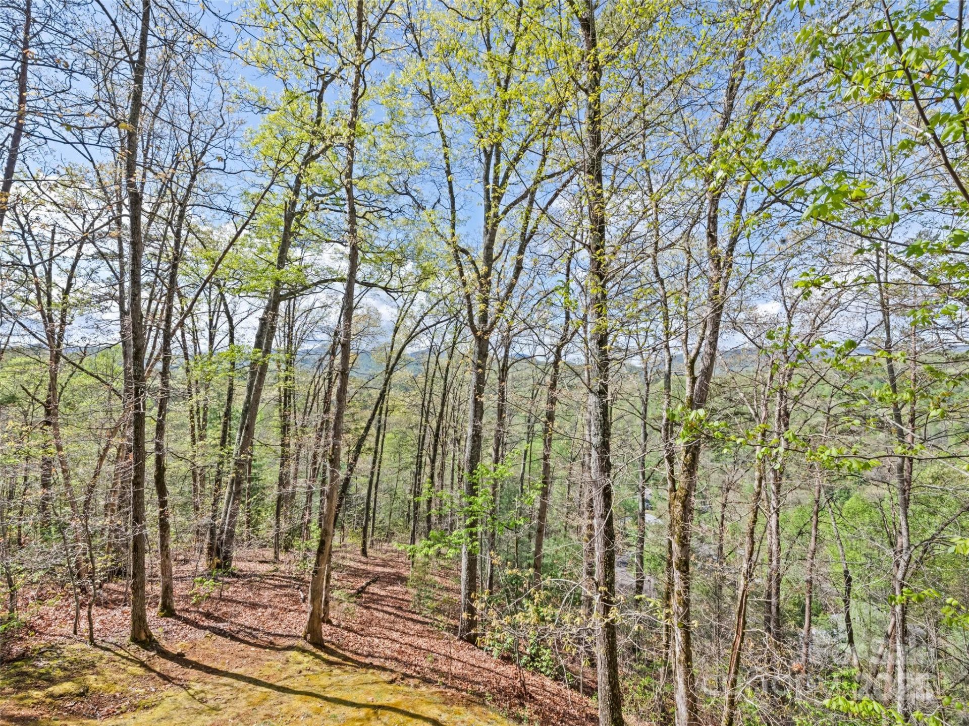 374 Rio Bravo Drive - Photo 18