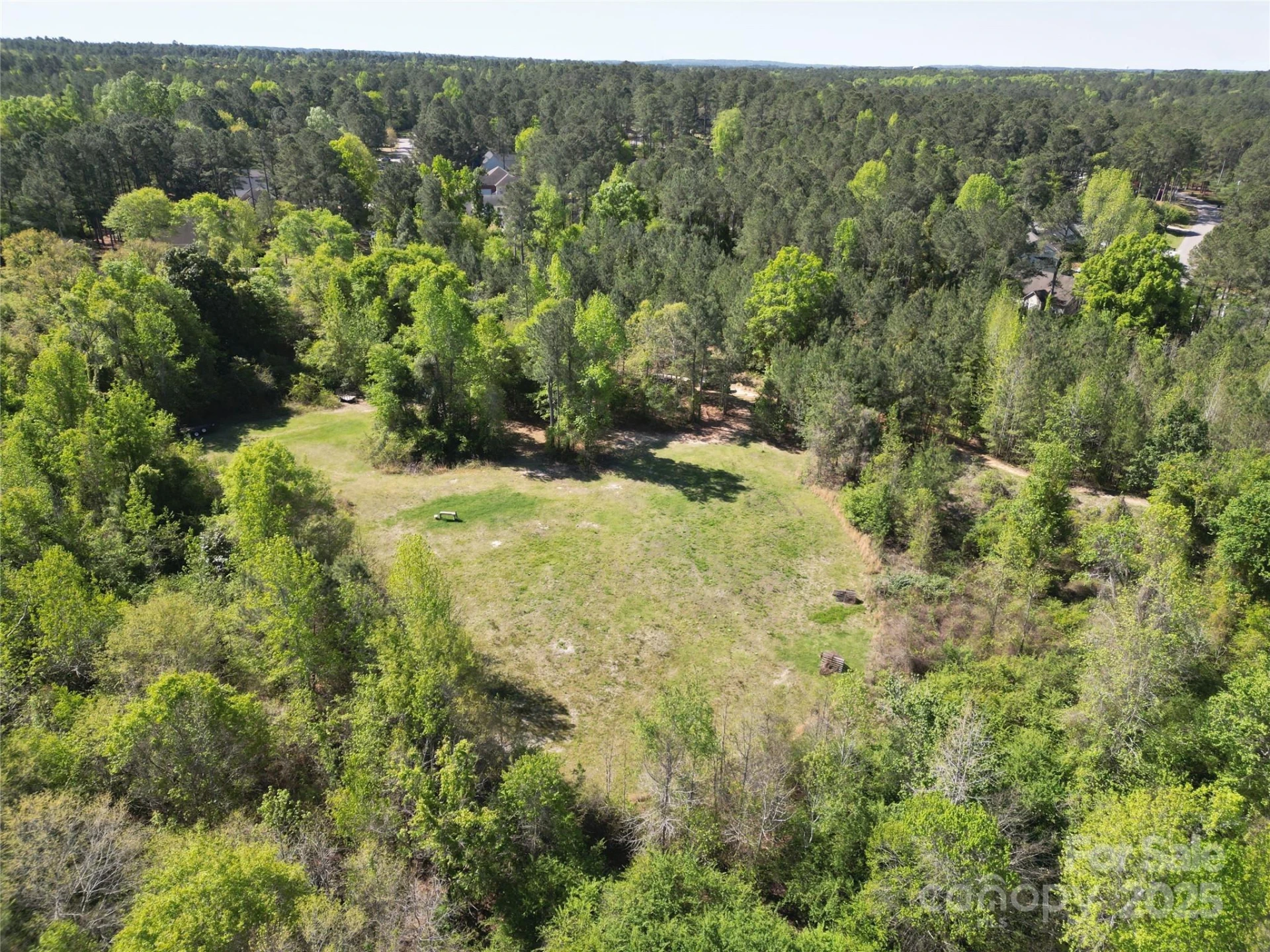 TBD Goldenrod Drive - Photo 11