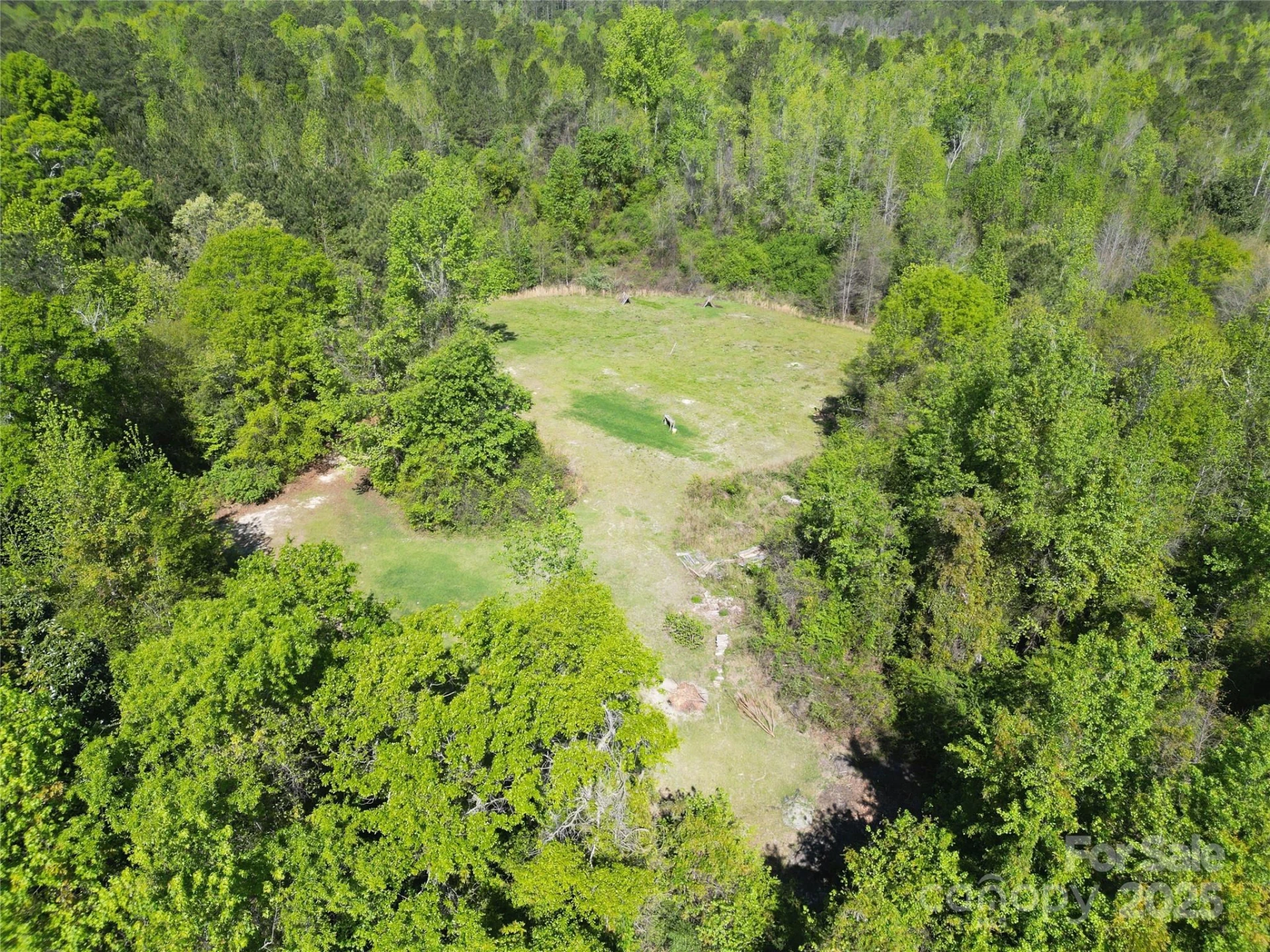 TBD Goldenrod Drive - Photo 12