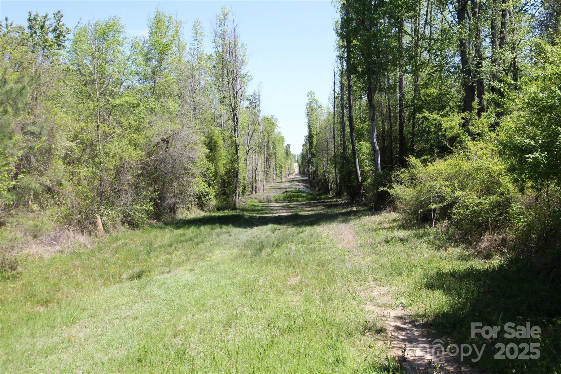 TBD Goldenrod Drive - Photo 13