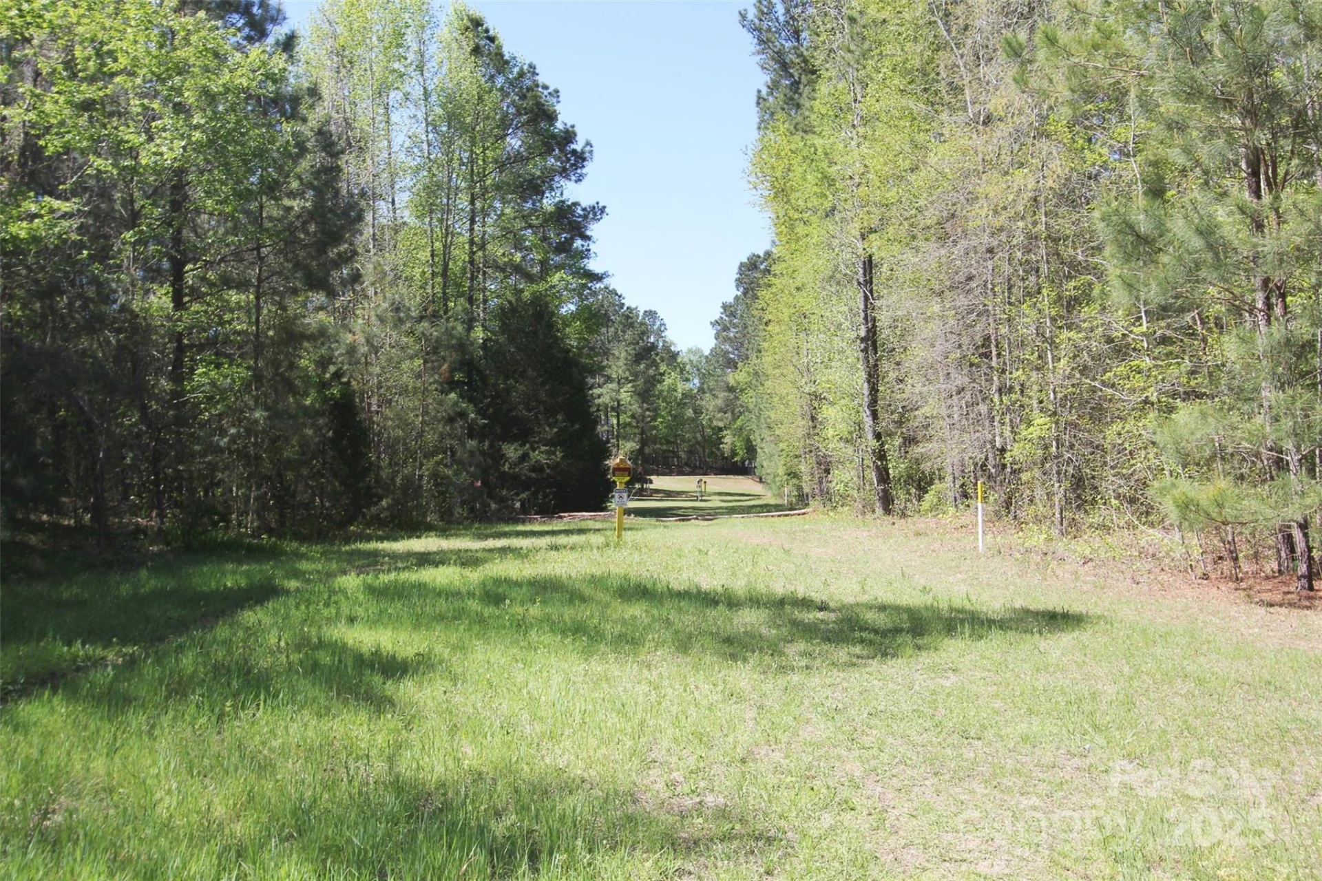 TBD Goldenrod Drive - Photo 14