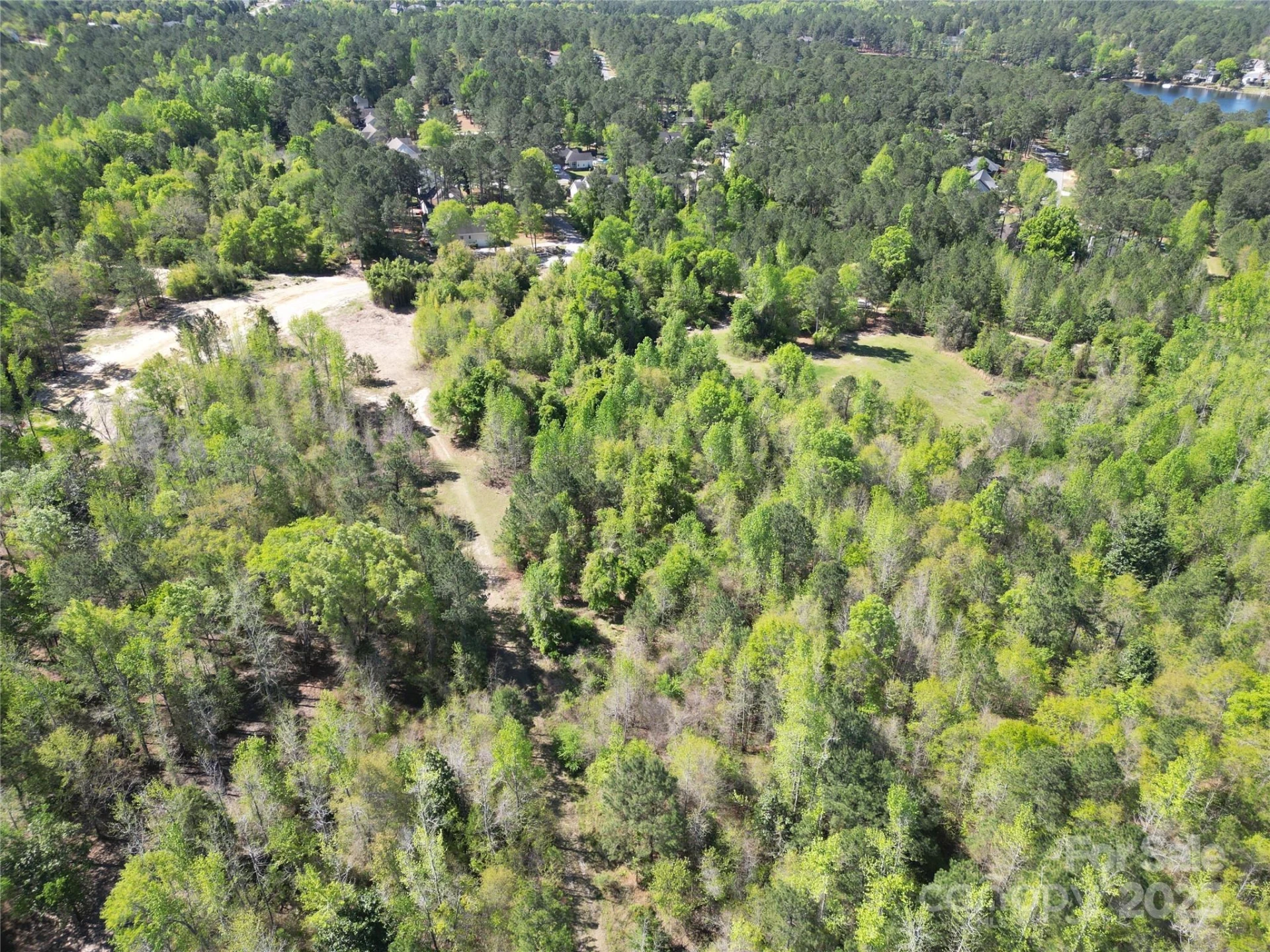 TBD Goldenrod Drive - Photo 18
