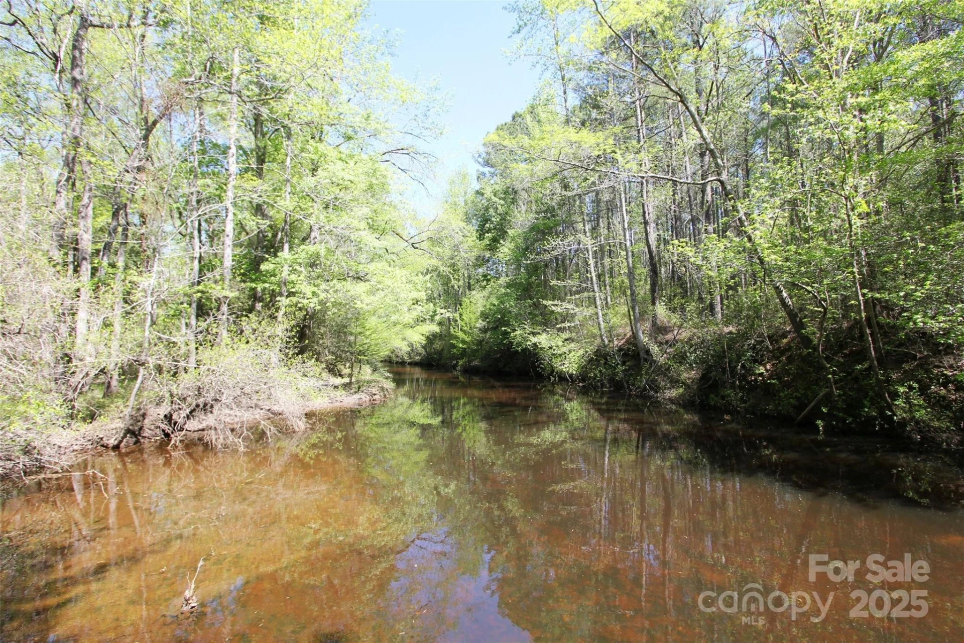TBD Goldenrod Drive - Photo 3